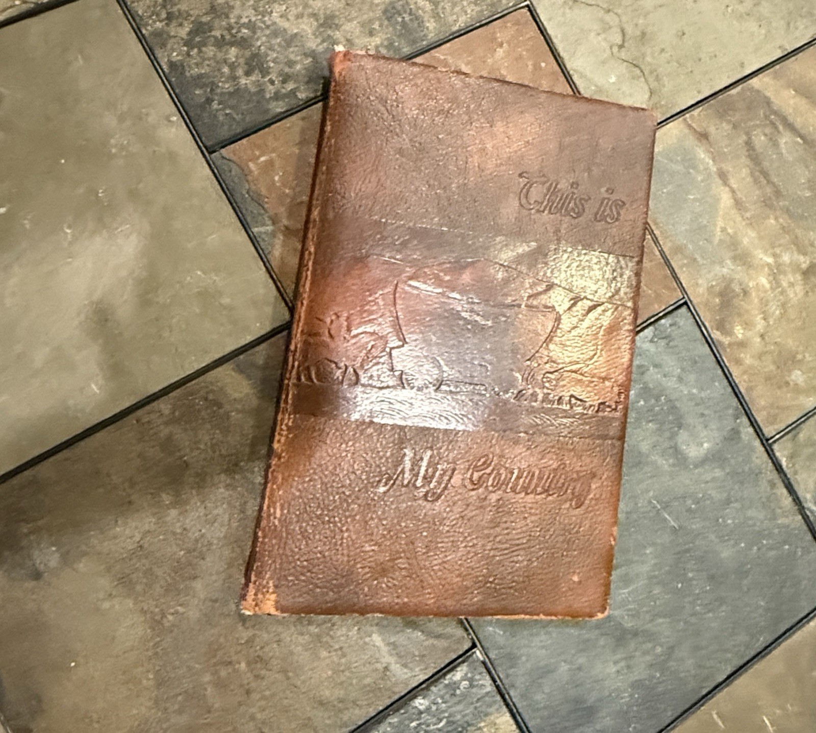 1944 Rand McNally “This Is My Country” 1st Edition &PRISTINE Elmer Jacob’s & Map