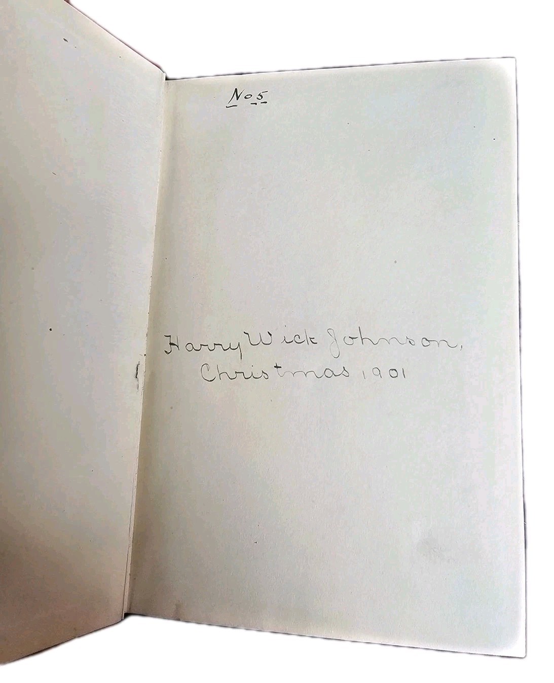 The Praire James Fenimore Cooper Vintage Hardcover A.L. Burt New York Classic