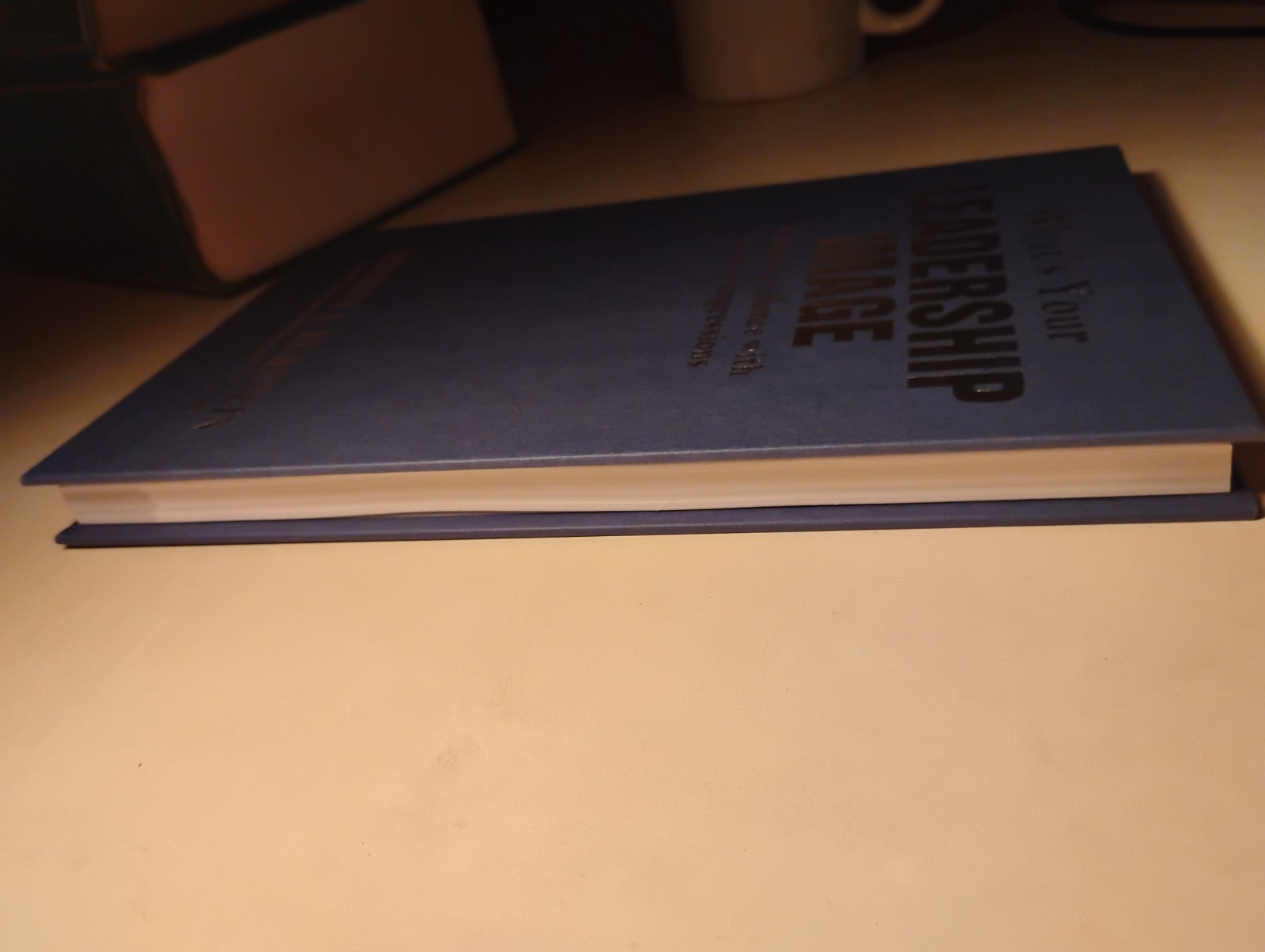 SIGNED Sharon Burstein What’s Your LEADERSHIP IMAGE Leadership Self-Help HC DJ
