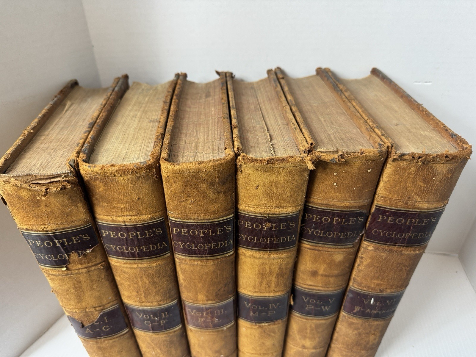 1894 People’s Cyclopedia of Universal Knowledge Complete 6 Volume Set Leather