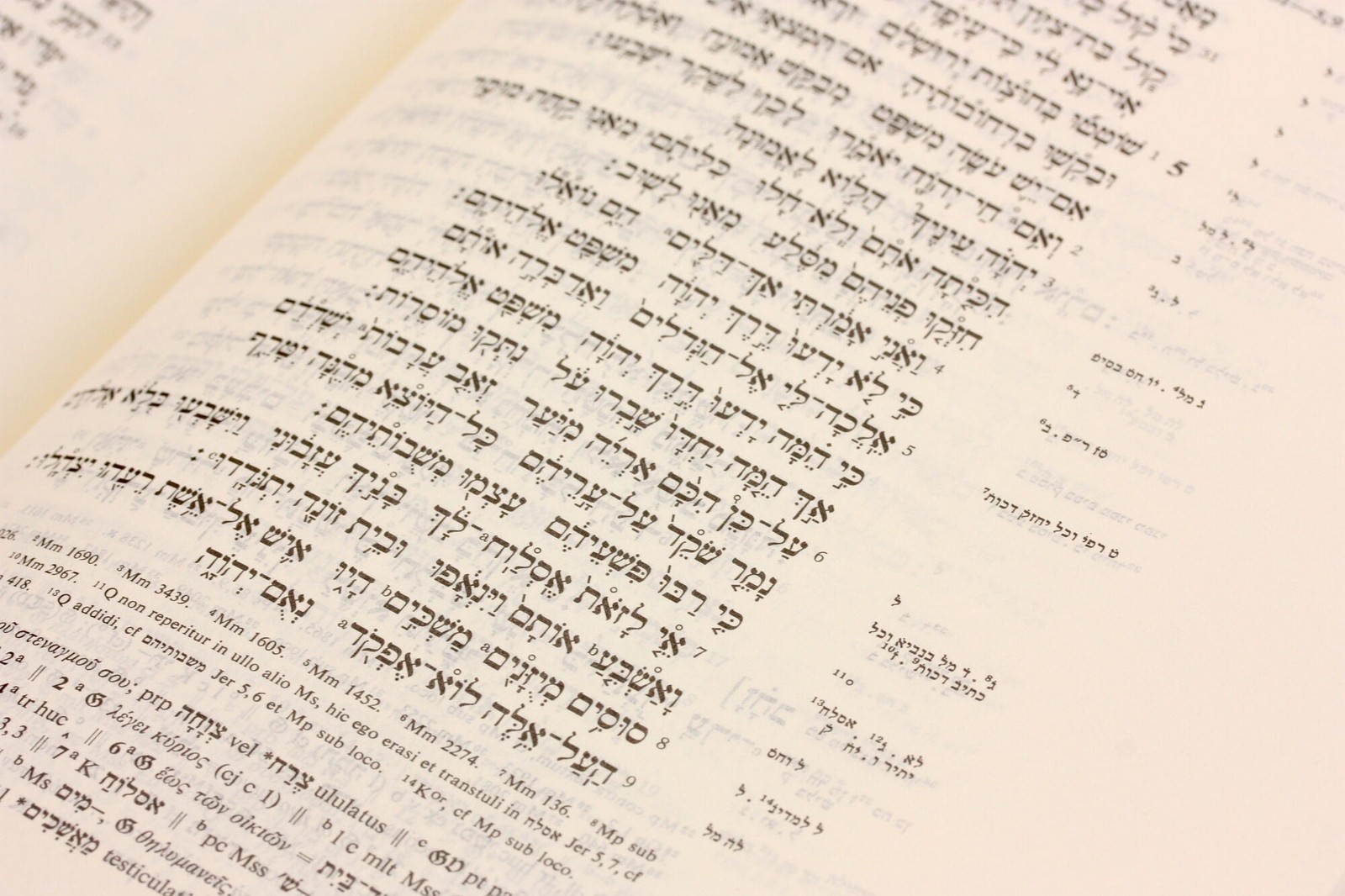 German Bible Society / Biblia Hebraica Stuttgartensia Wide Margin 5th Revised