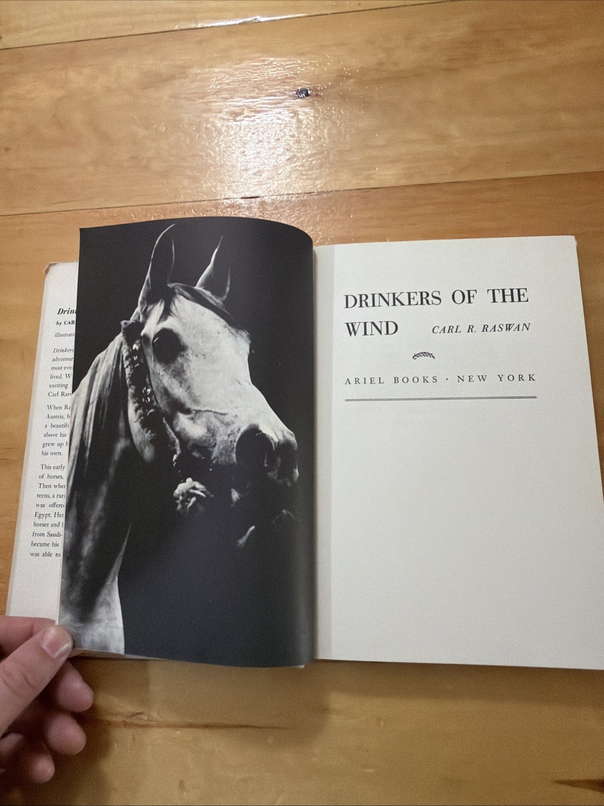 Drinkers of the Wind, Carl Raswan, 1942 Sixth Printing 1971, HC/DJ