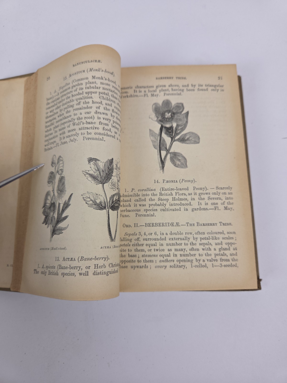 Flowers of the Field by Rev C. A. Johns, Revised by G.S. Boulger, Vol I & II