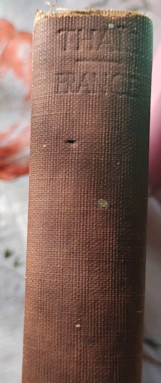 1931 THAIS Anatole France / Marvin Press / Intro by Hendrik Van Loon, Hardcover
