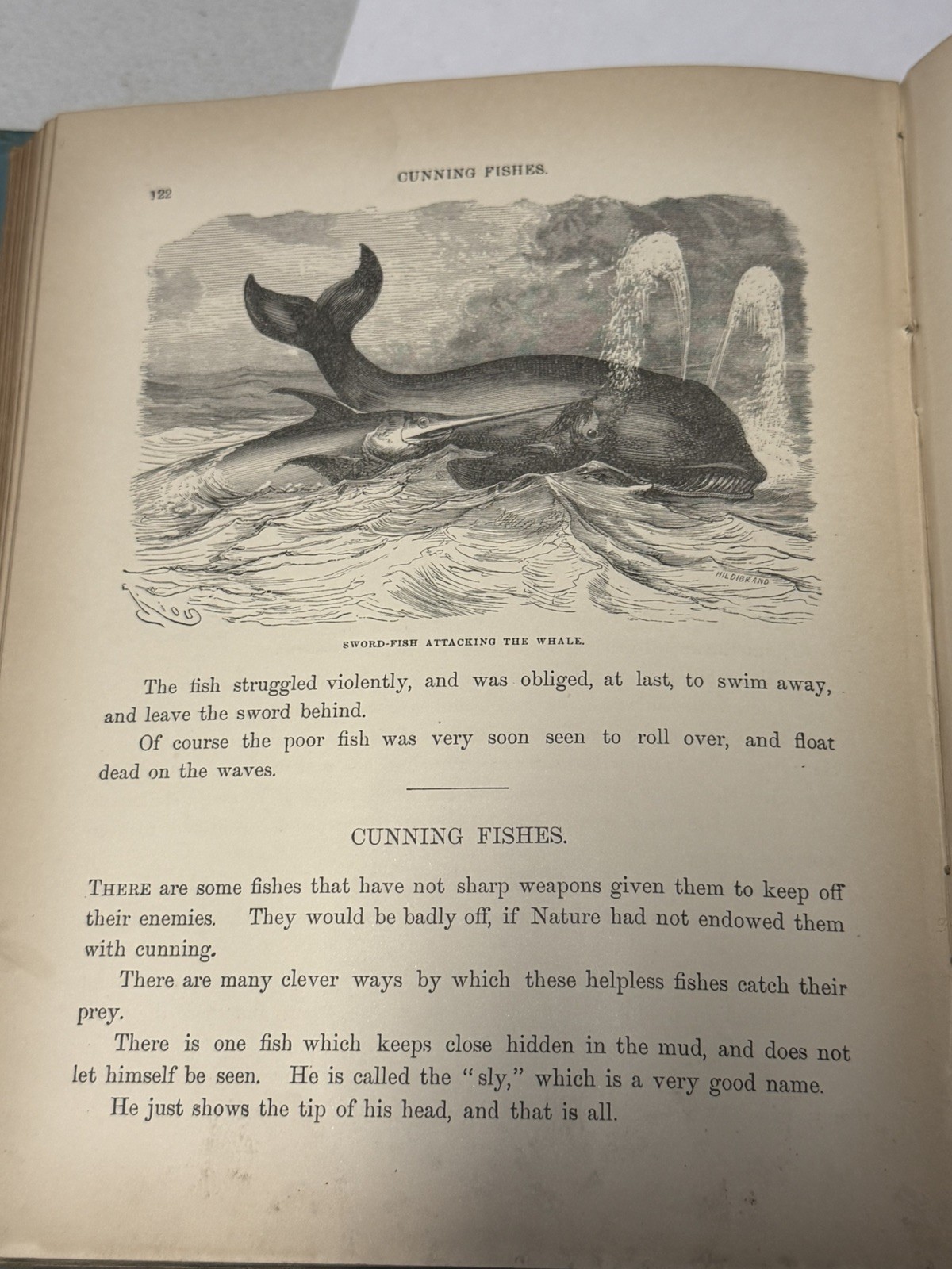 Antique Maritime Book “The Sea and Its Wonders” c.1880s – Ocean Currents Map & A