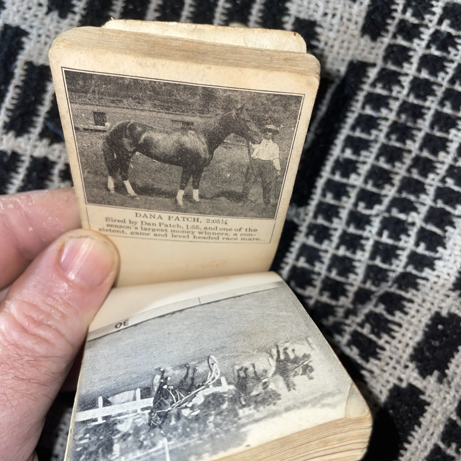World’s Record Mile By Dan Patch 1.55 Moving Pictures 1909 Motion Flip Book Used