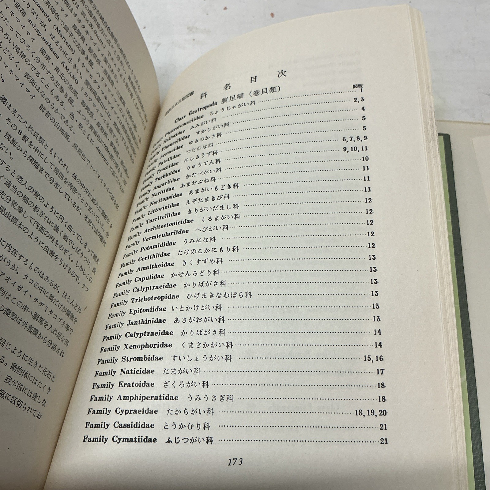 1955 Illustrated Color Guide To Japanese Shells With Slip Case/DJ In Japanese