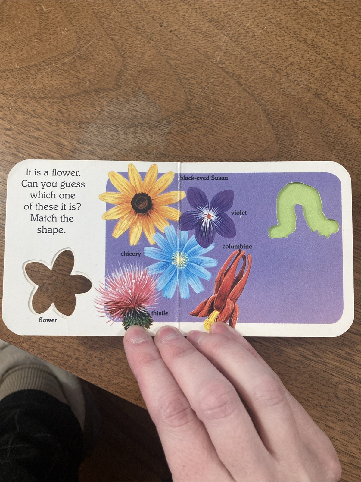 What Is It? Vintage Children’s Board Book National Geographic 1991