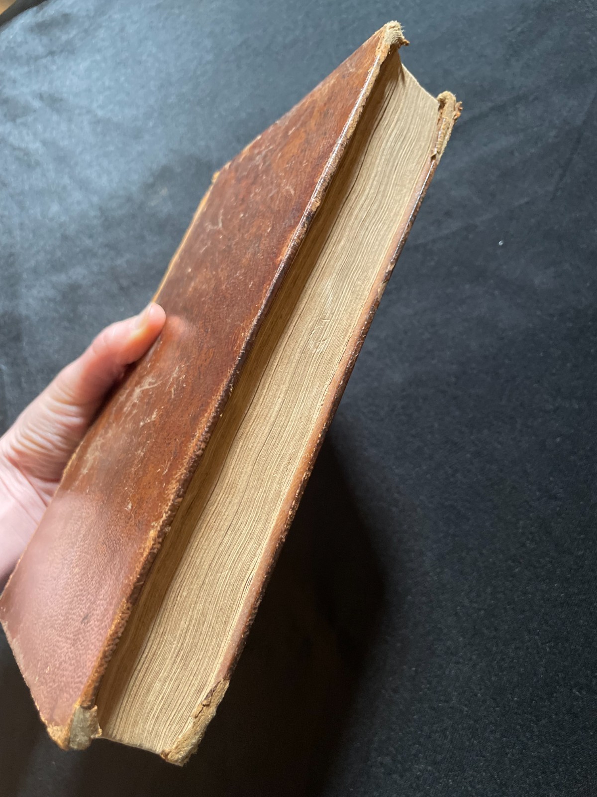Antique Oliver Goldsmith “History of the Earth & Animated Nature” Vol. 1 (1823)