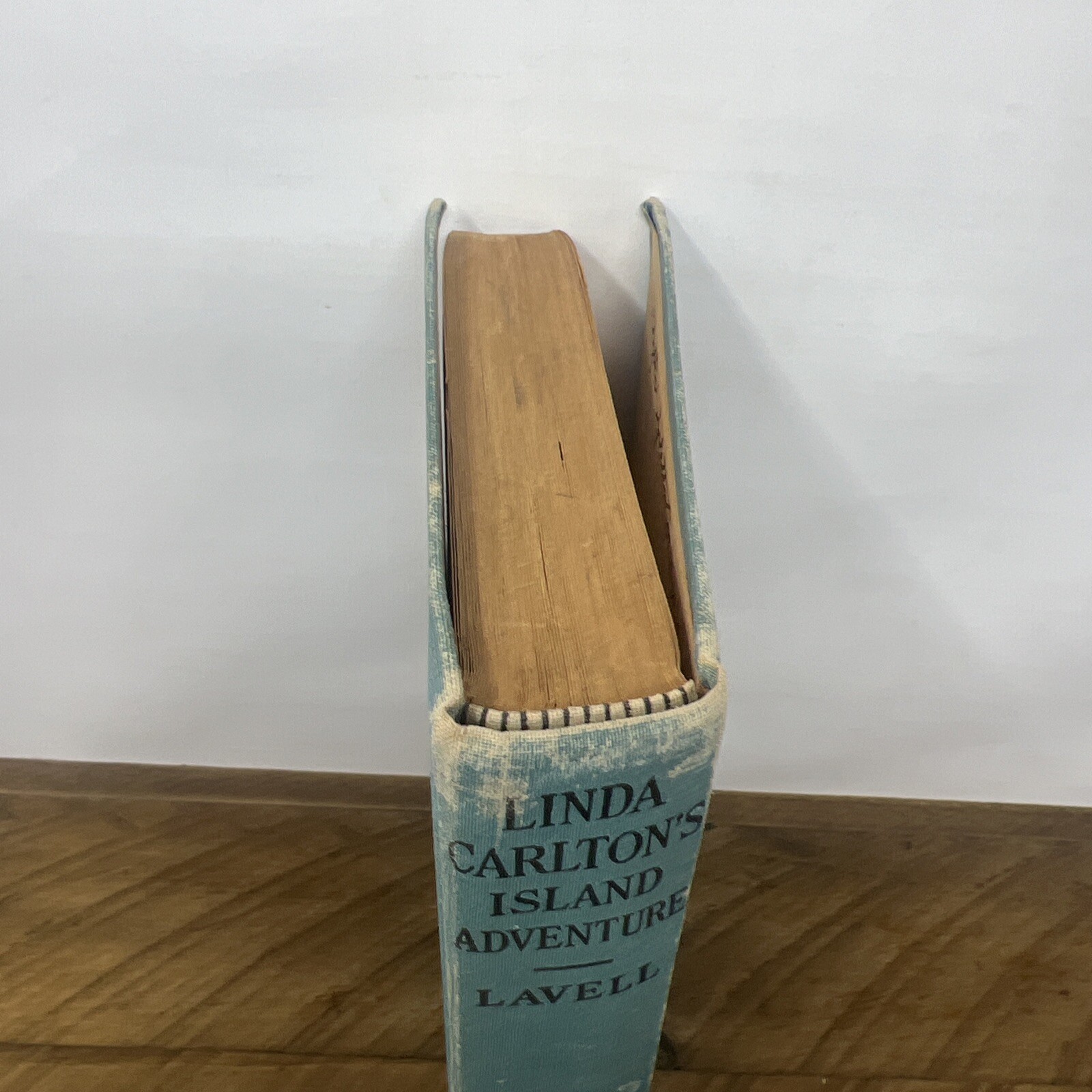 Linda Carltons Island Adventure Edith Lavell Vintage 1931 Cloth Hardcover