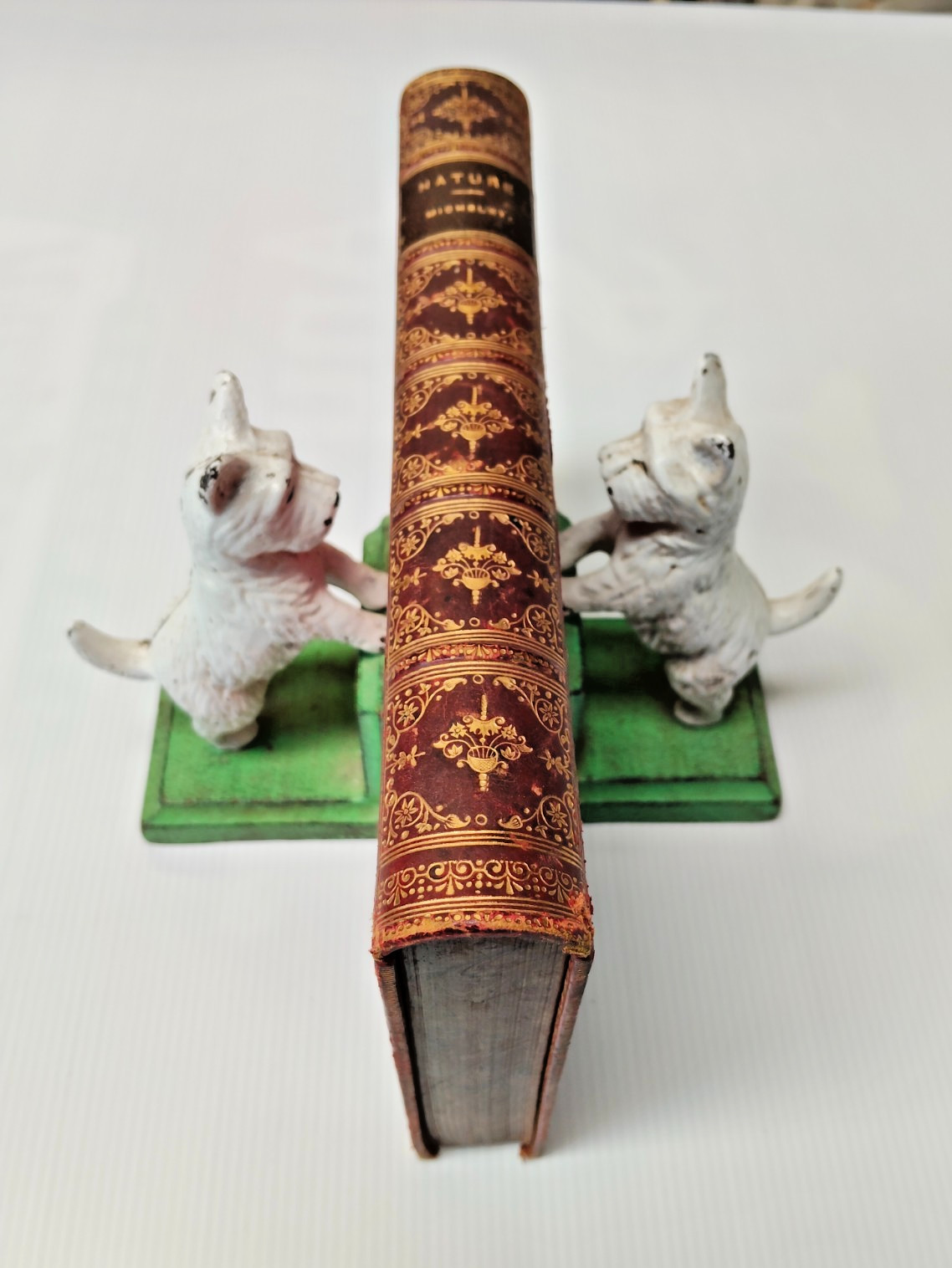 Stunning Antique Book 1893 Michelet Nature Embossed Leather Ipswich Grammar -AF