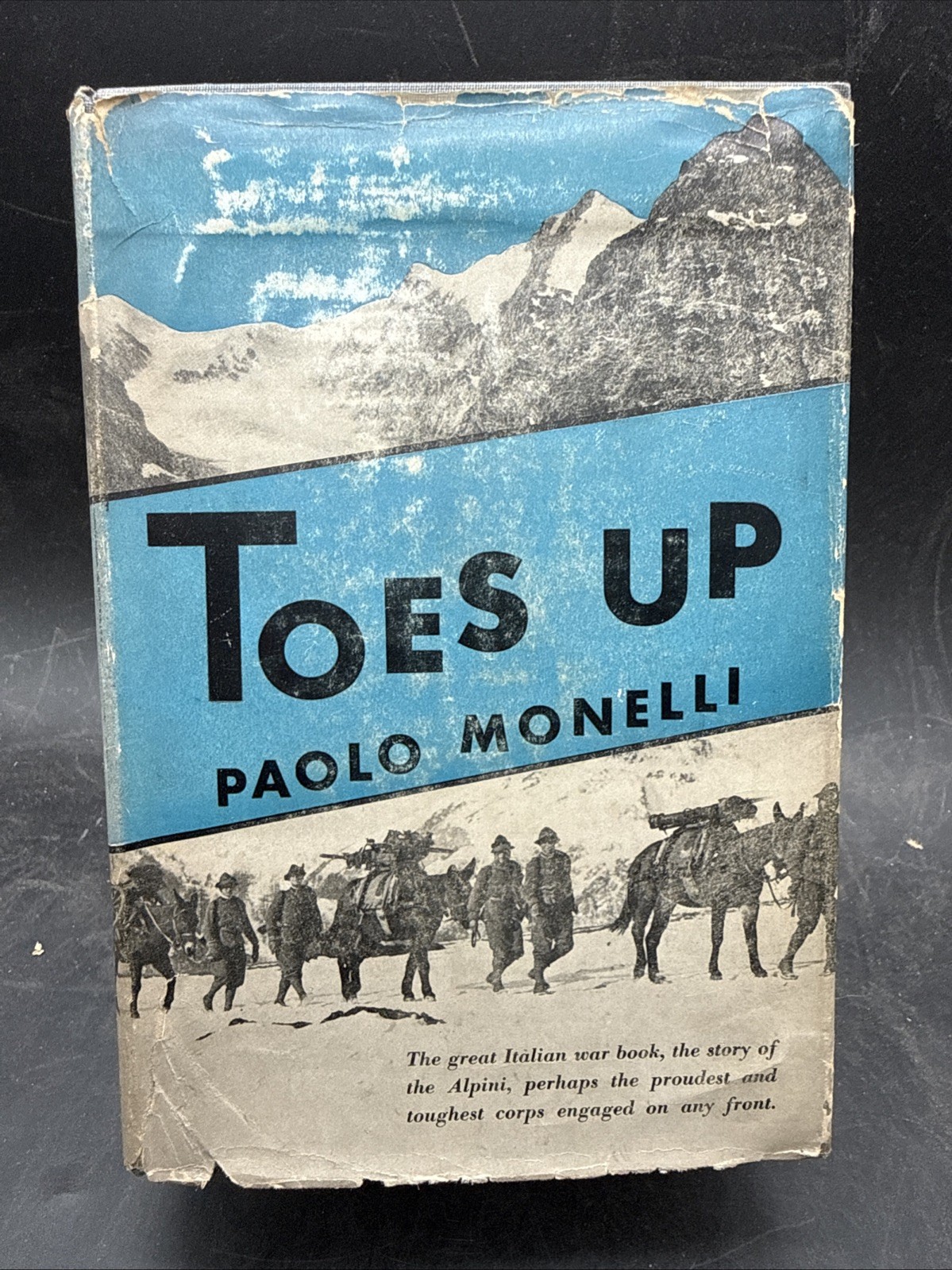 WWI TOES UP 1930 PAOLO MONELLI HC/DJ WWI ITALIAN UNIT FIGHTING AUSTRIANS PHOTOS
