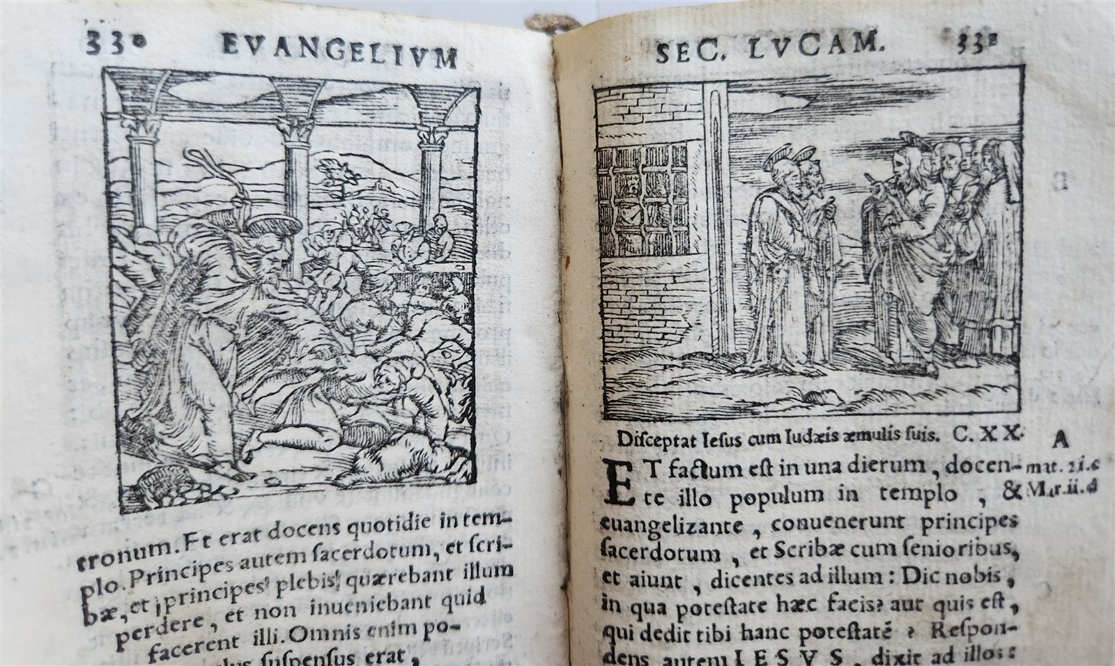 1548 BIBLE in LATIN ILLUSTRATED antique 16th CENTURY vellum TESTAMENTI NOUI