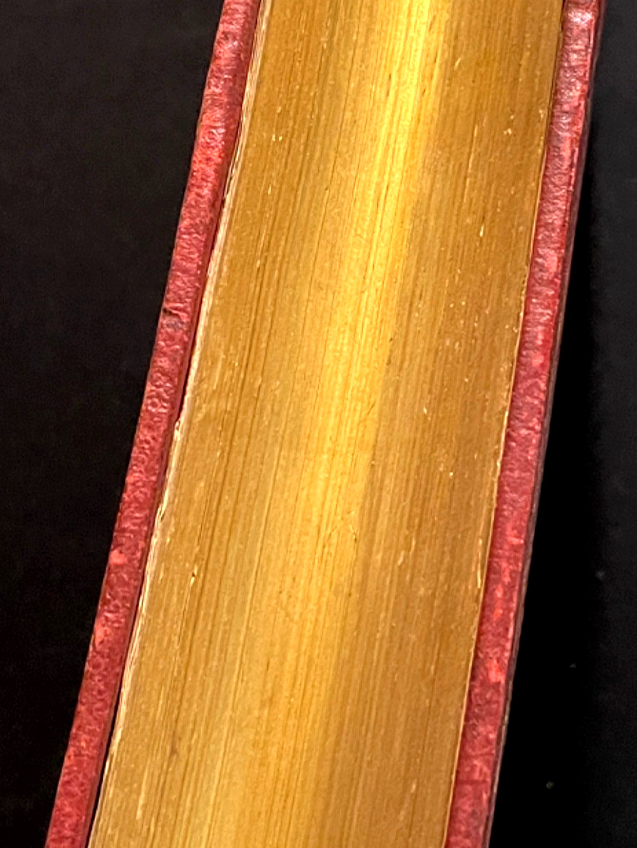 French Victorian Decorative Fine Binding 1883 Chroniqueurs Charles VIII Louis XI