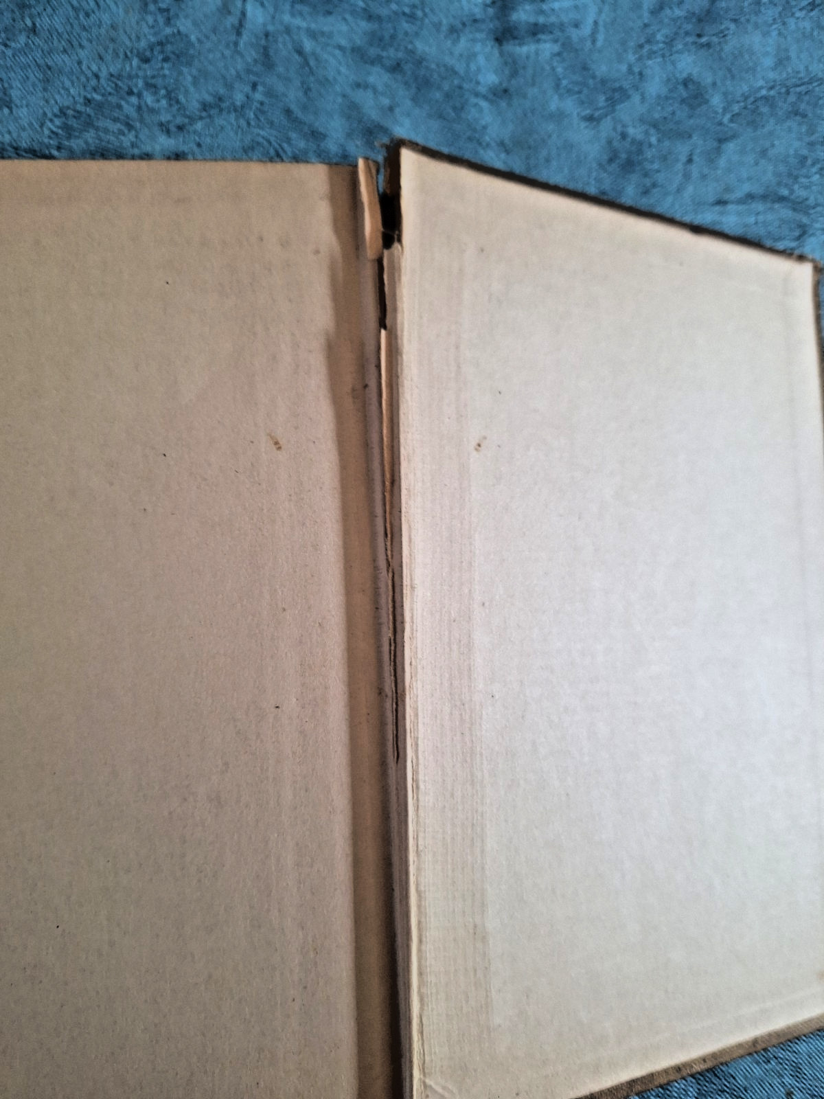 Vintage The Shadow-Show J.H. Curle Hardcover 1920 antiquarian