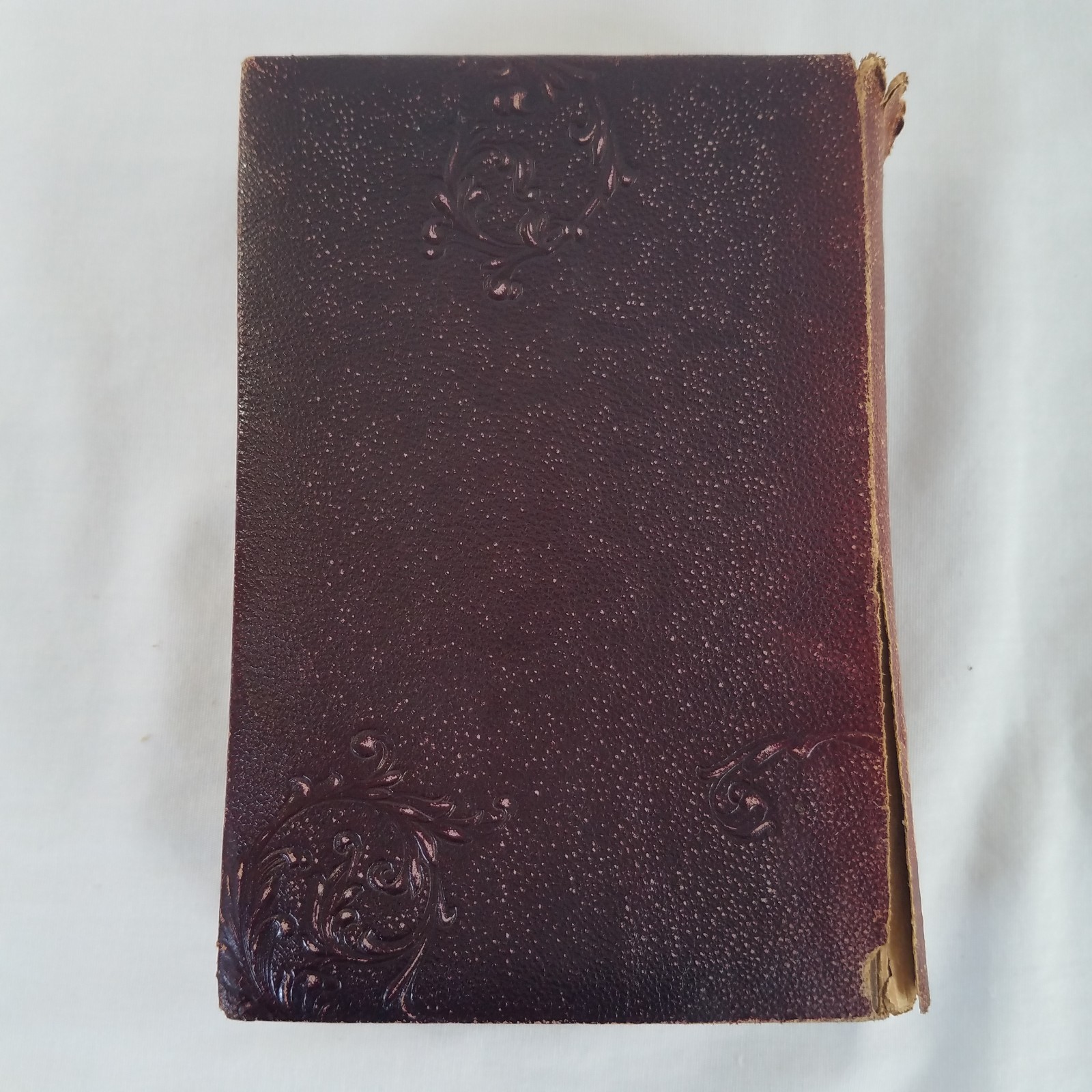 1890s Works William Shakespeare Crowell American Edition Embossed Leather RARE