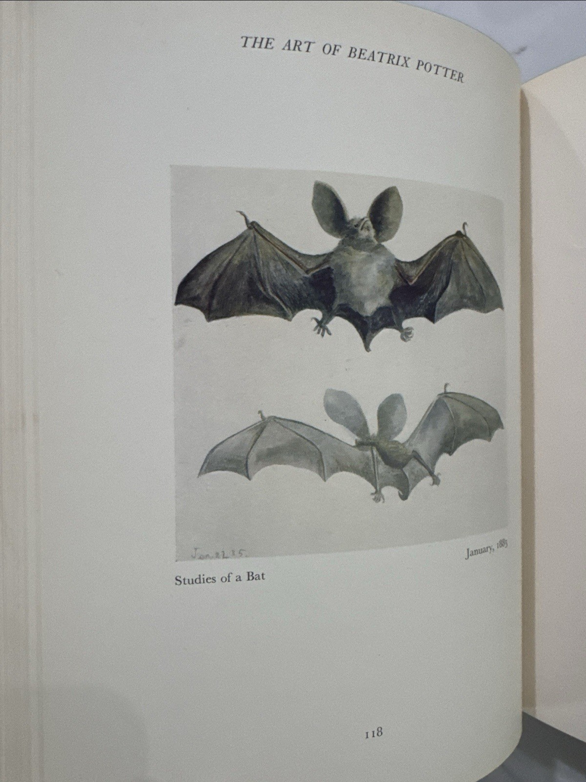 The Art of Beatrix Potter (Frederick Warne, Hardcover, Second Edition, 1956)