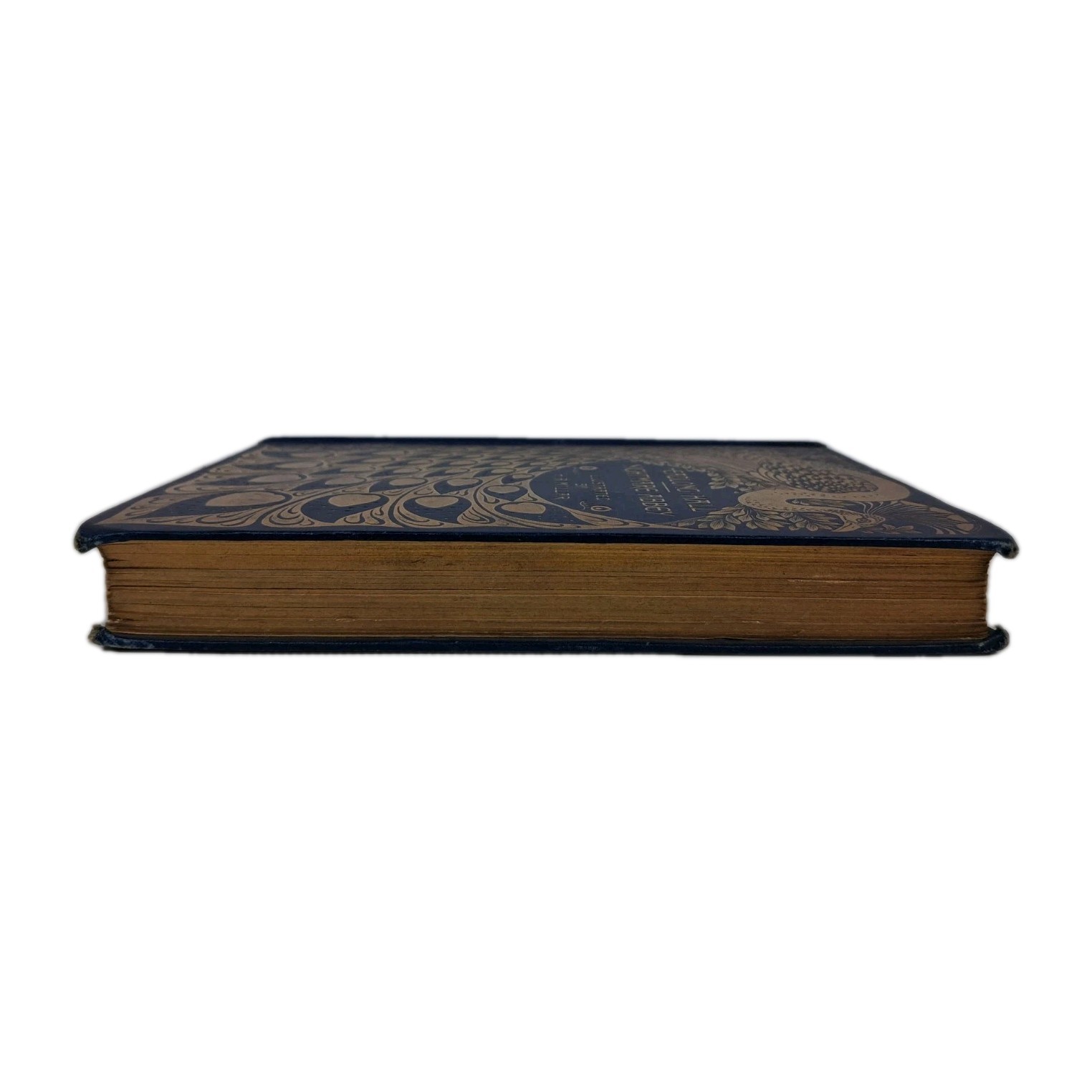 1896 HEADLONG HALL and NIGHTMARE ABBEY THOMAS LOVE PEACOCK BINDING GOTHIC London