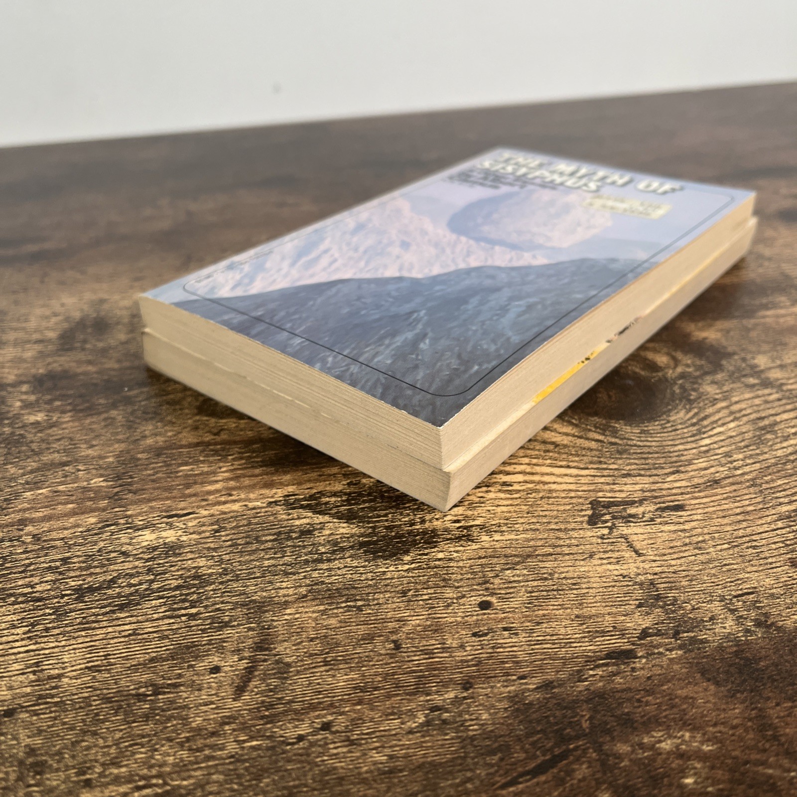 The Stranger A Novel by Albert Camus 1946 And The Myth Of Sisyphus 1955