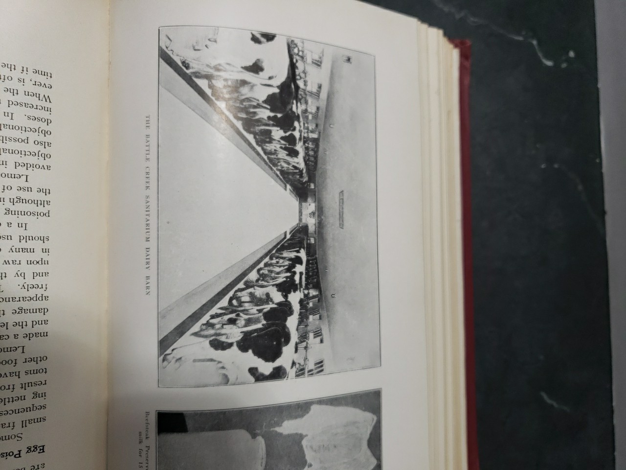 The New Dietetics JH Kellogg Revised Edition 1923