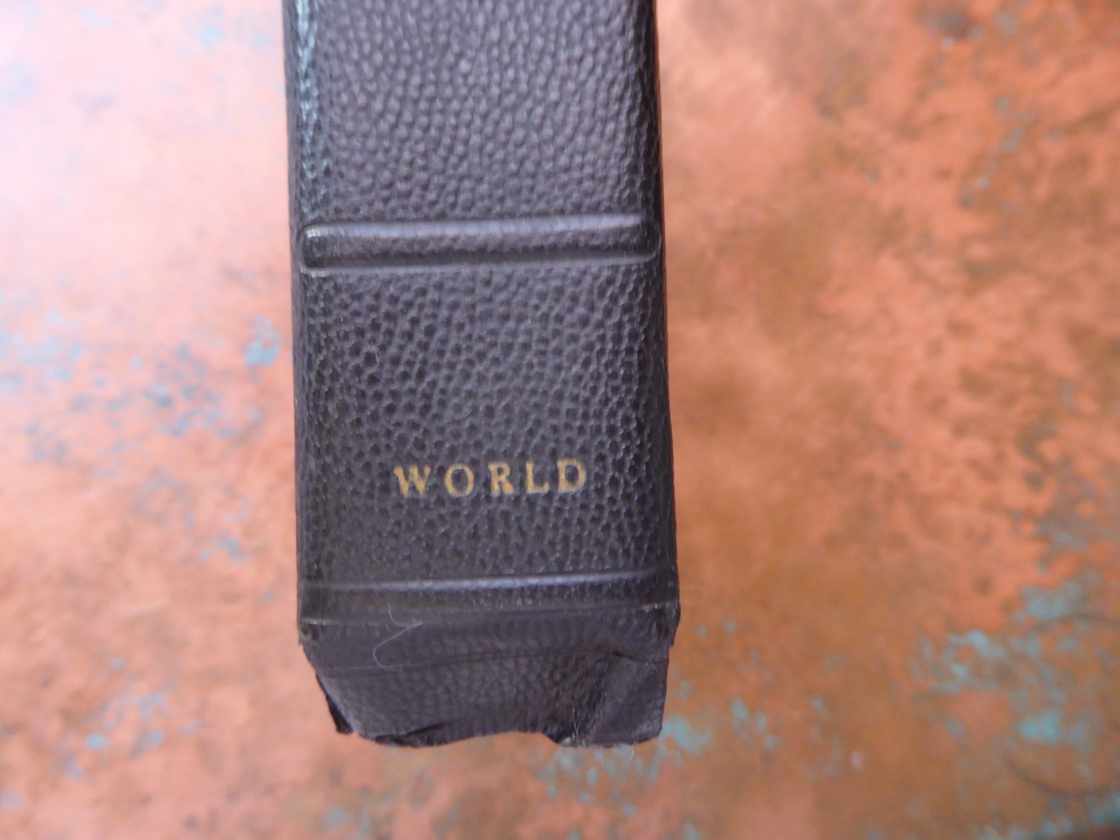 Vintage Holy Bible Illustrated Black World Publishing Company Maps Pictures