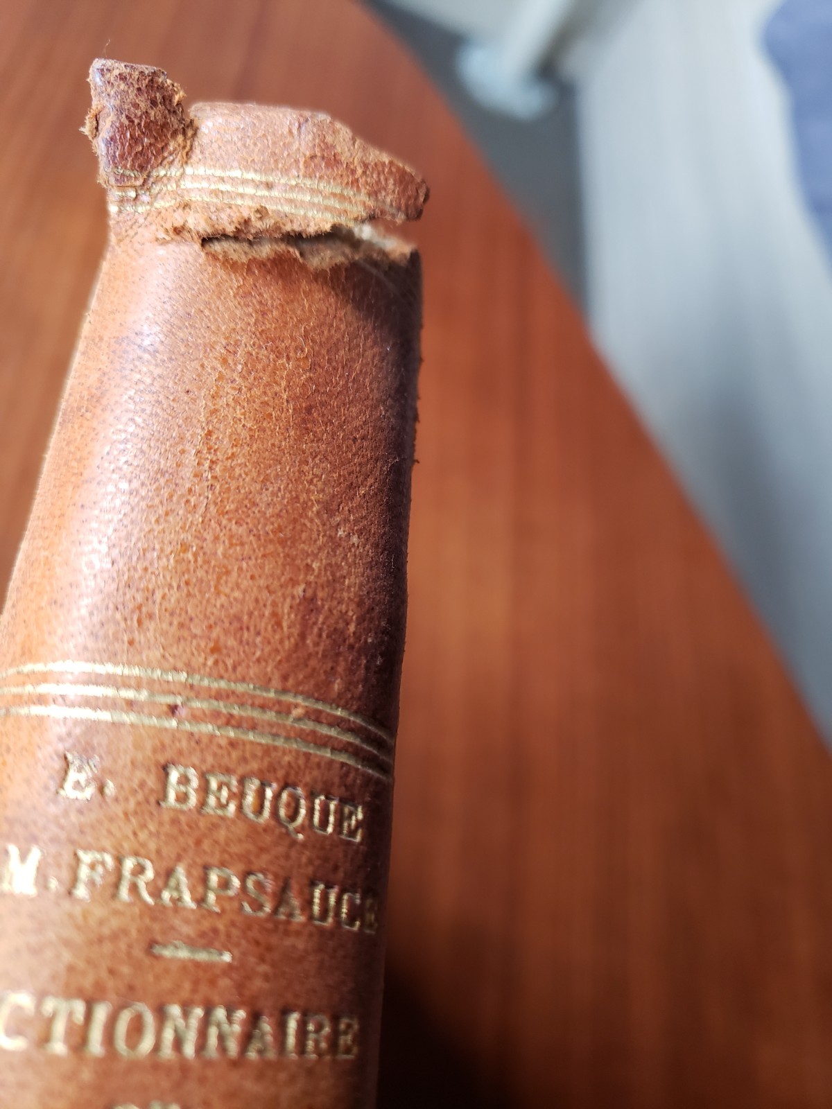 Dictionnaire des Poinçons 1929 Dictionary French Silver Marks Beuque Frapsauce