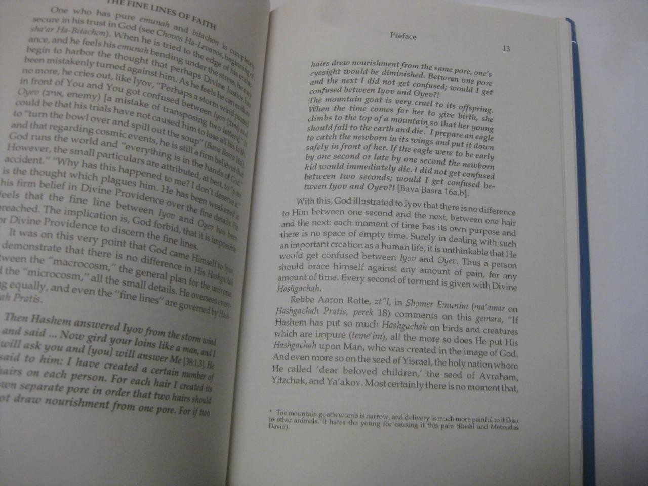 Fine Lines of Faith: A Study of the Torah’s Outlook Human Suffering IYOV MALBIM
