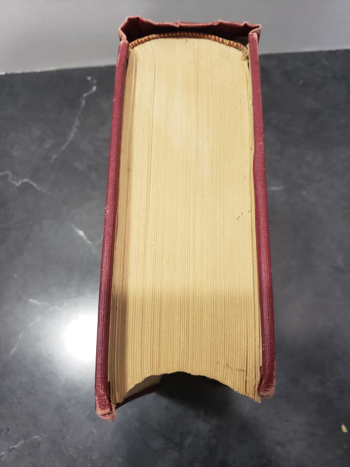 The New Dietetics JH Kellogg Revised Edition 1923