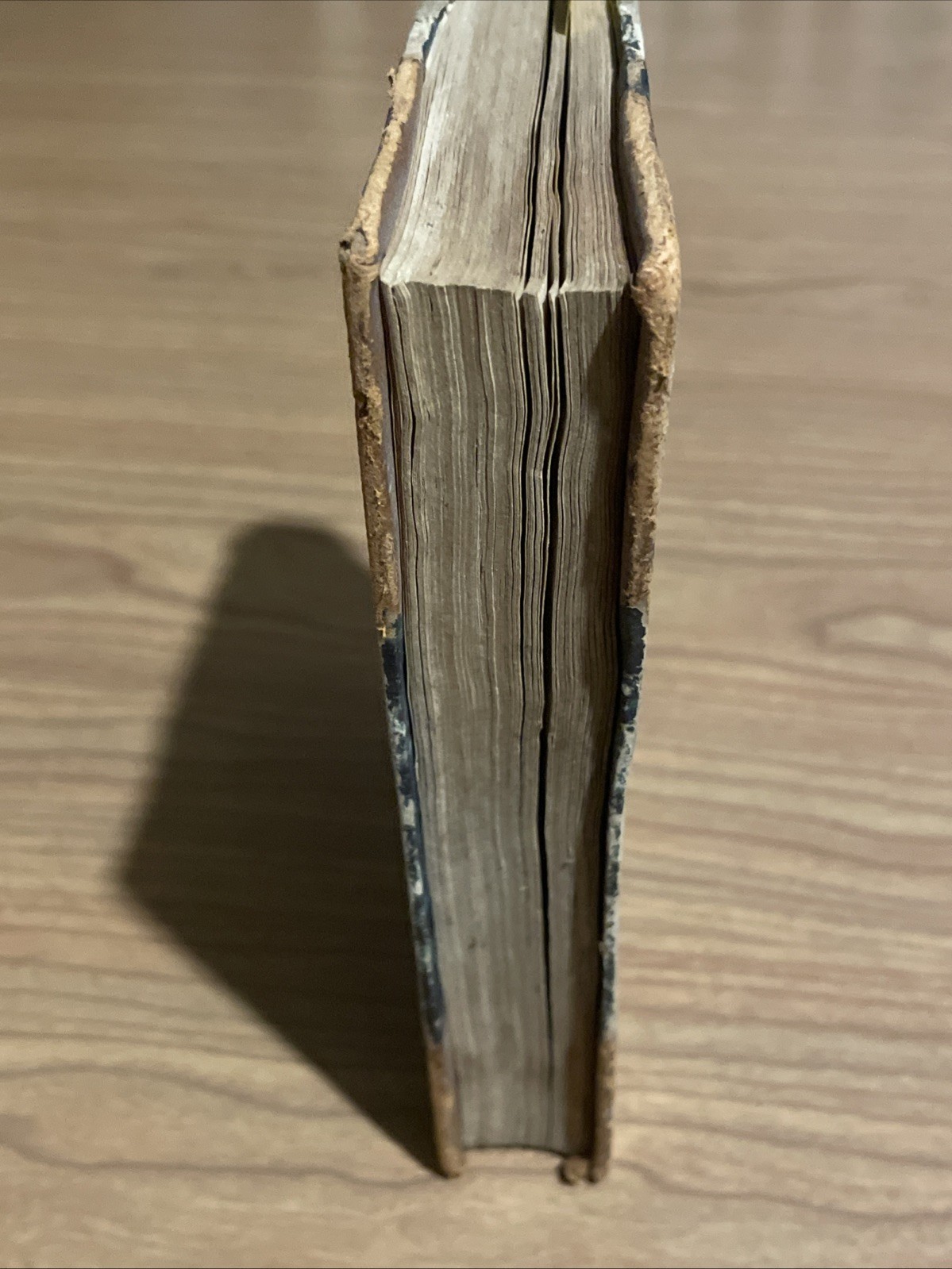 The Catholic Scripturist; or, The Plea of the Roman Catholics; Baltimore 1809