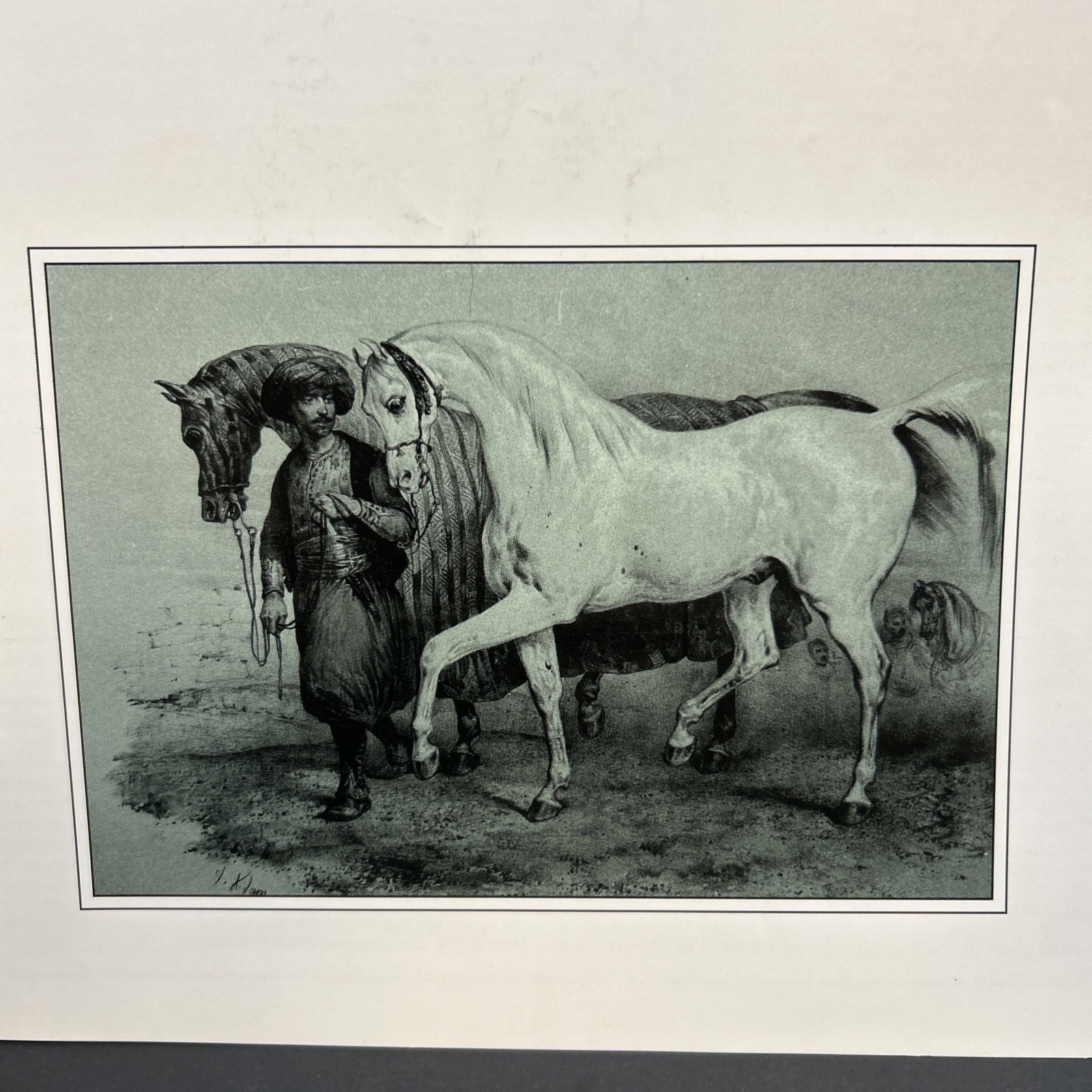 The Khamsat Bedouin Arabian Horse Magazine Spring 2002