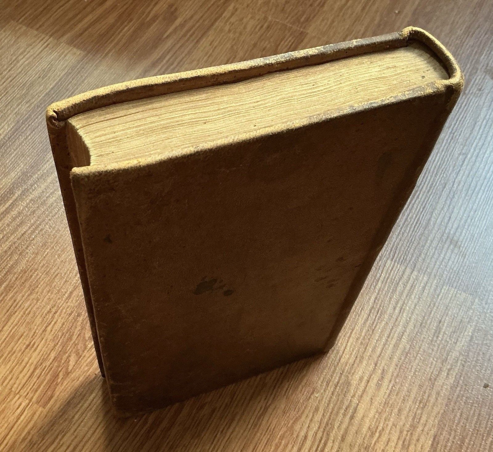 SECRET HISTORY COURT CABINET OF ST CLOUD 1806 US Ed Old Leather Book / FRANCE