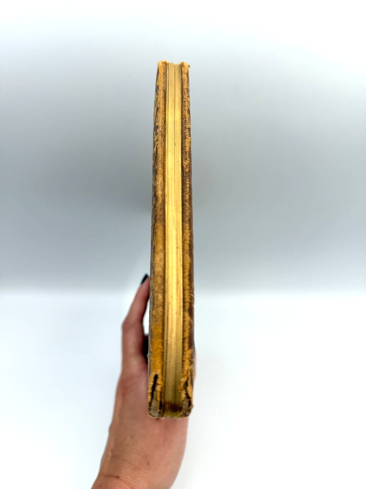 1881 Edgar Allan Poe The Bells, Porter & Coates, Embossed Leather, HTF