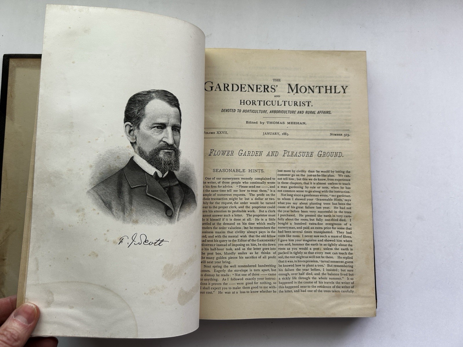 1884 – 86 The Gardeners’ Monthly & Horticulturist Thomas Meehan 23 Issues Bound