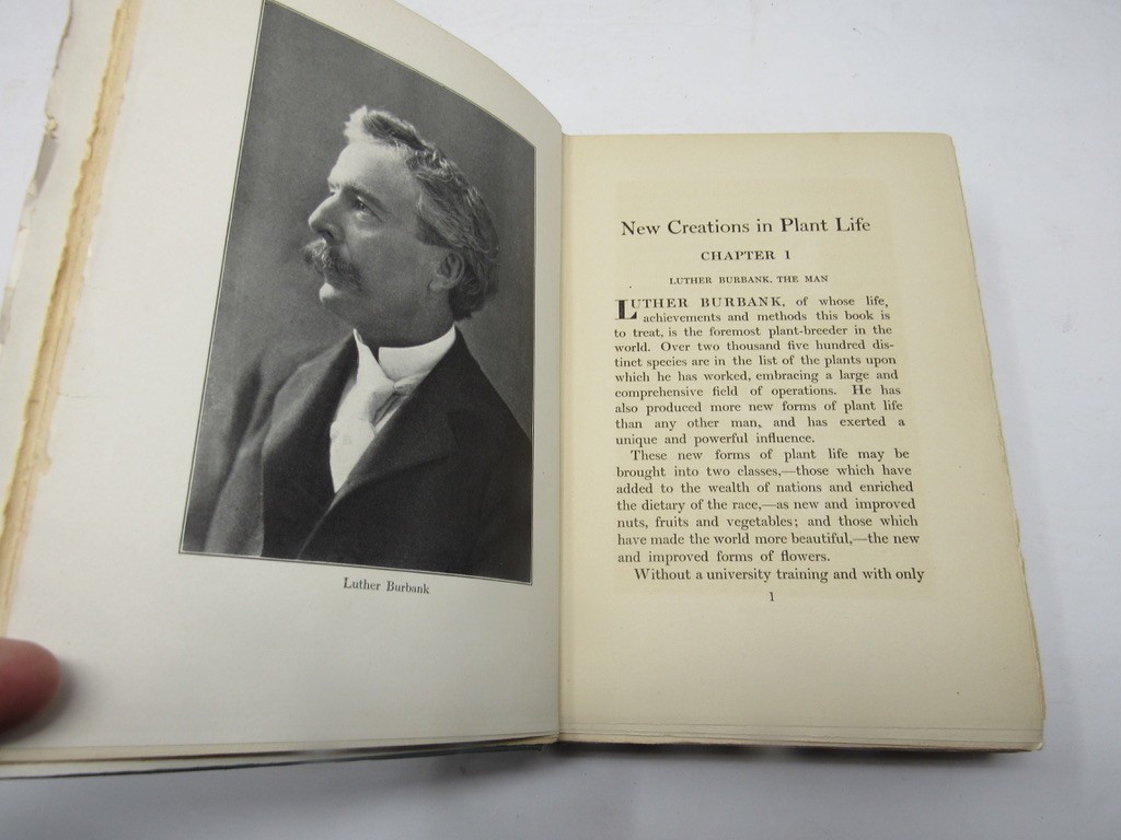 New Creation in Plant Life 1905 Luther Burbank Life & Works Botany Hoticulture