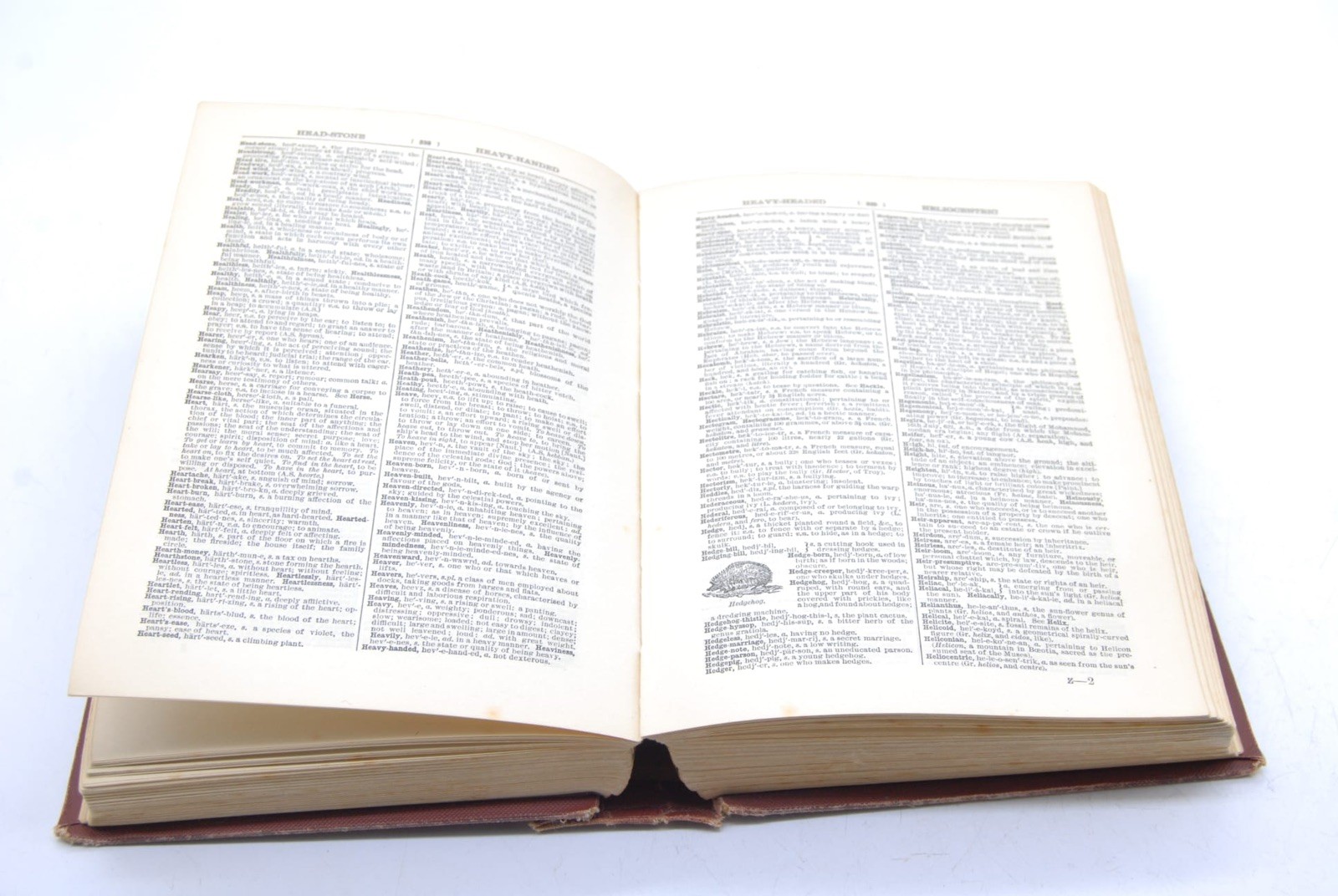 Rare Vintage Nuttalls Standard Dictionary English Language 1906 Hardcover Book