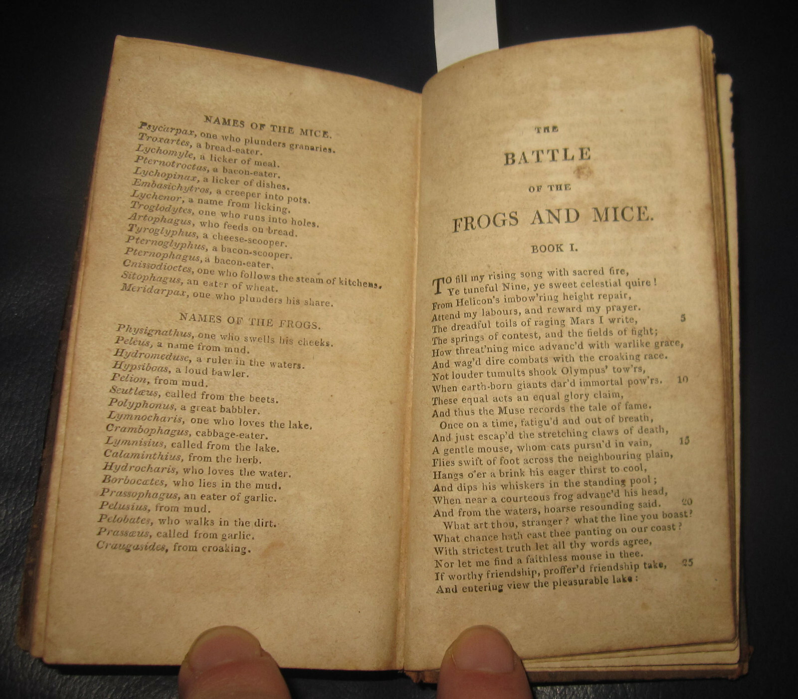 1811 HOMER, POPE, The Odyssey of Homer, Battle of the Frogs and Mice. ODISSEA