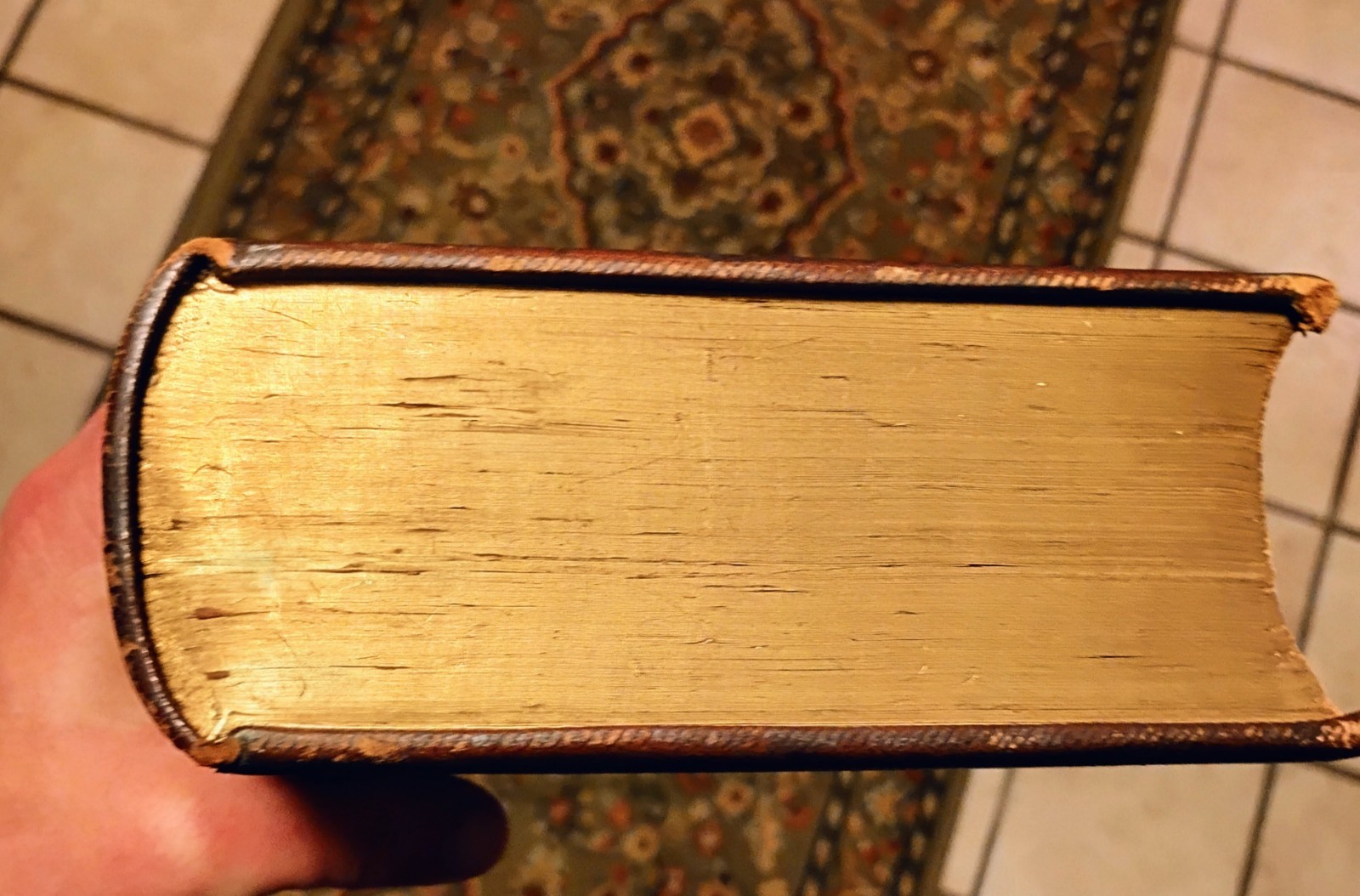 1850s The Poetical Works of Thomas Moore LEATHER Fine Binding Celtic Knot Gilt