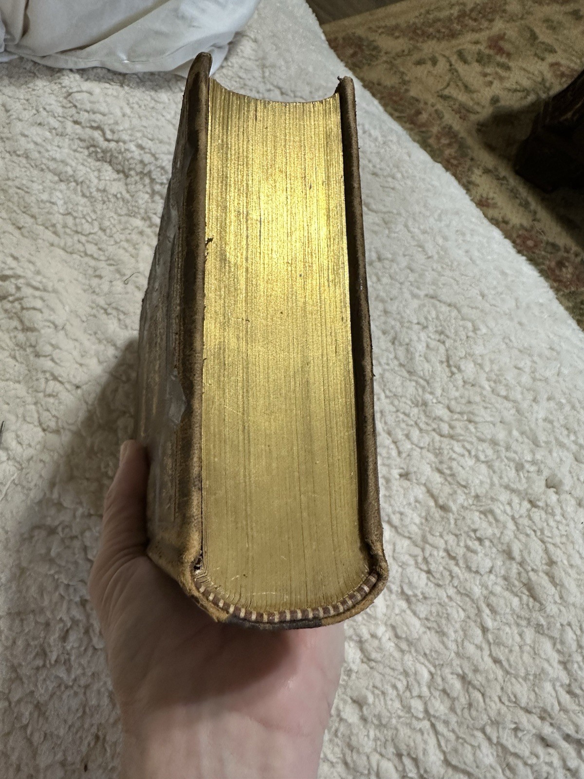 Night Scenes In The Bible 1869 Antique Religious Art Leather Bound Gold Gilded