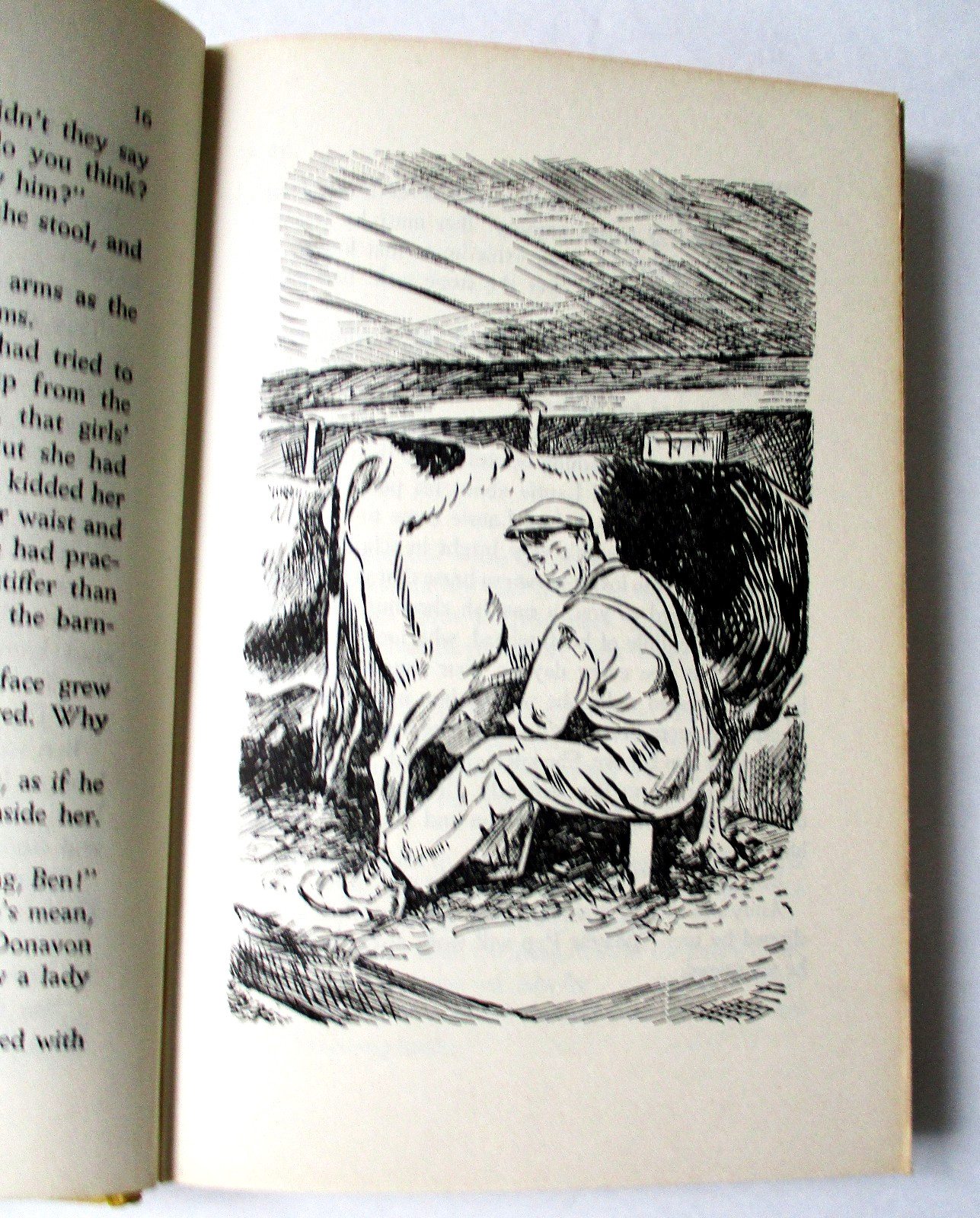 Famous Horse Stories LAURIE Estelle Barnes Clapp 1953 Hardcover Girl Loves Horse