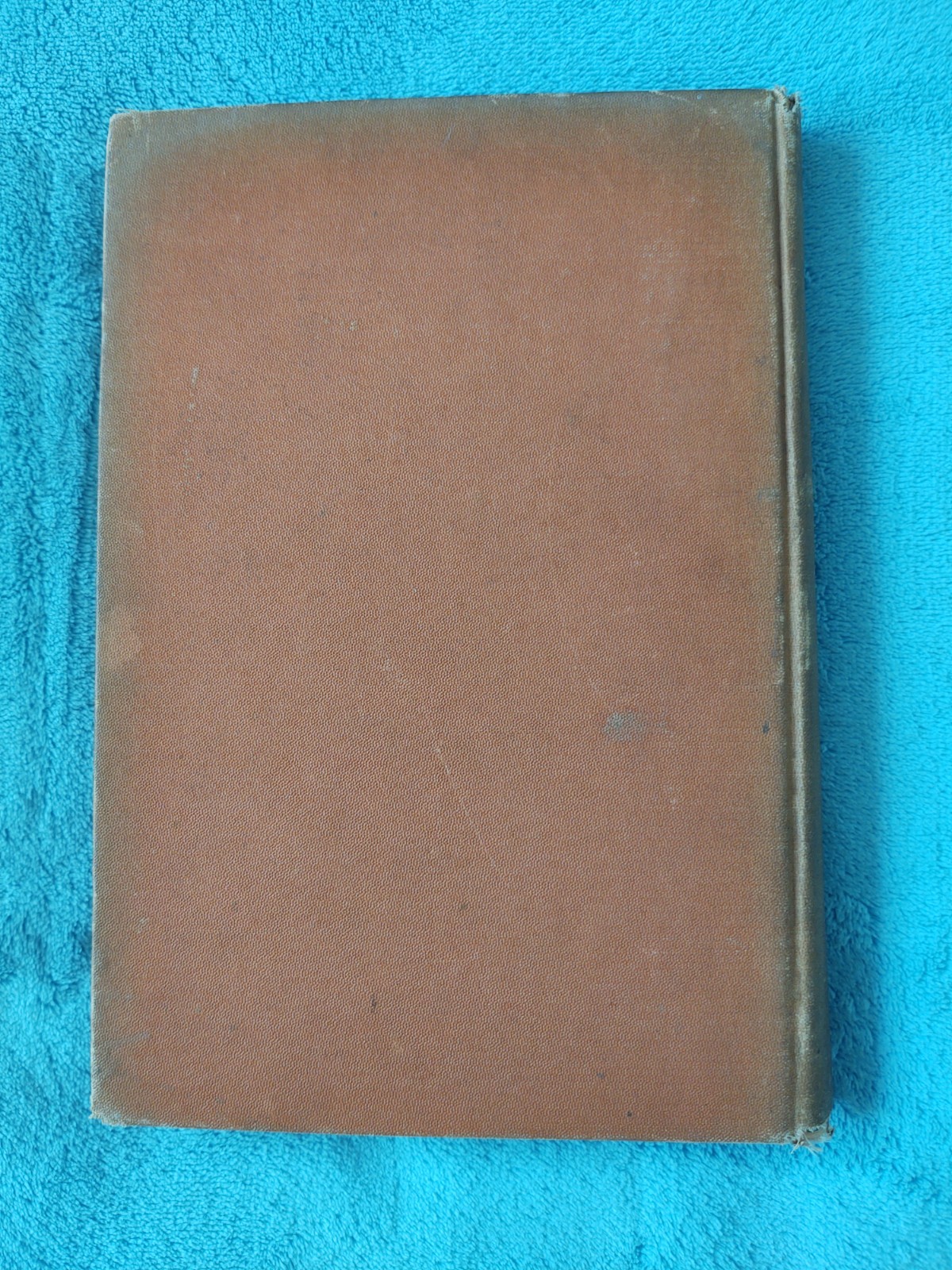 Earthology Humanity Characterized Raphael 1901 Antique Astrology Hardcover Book