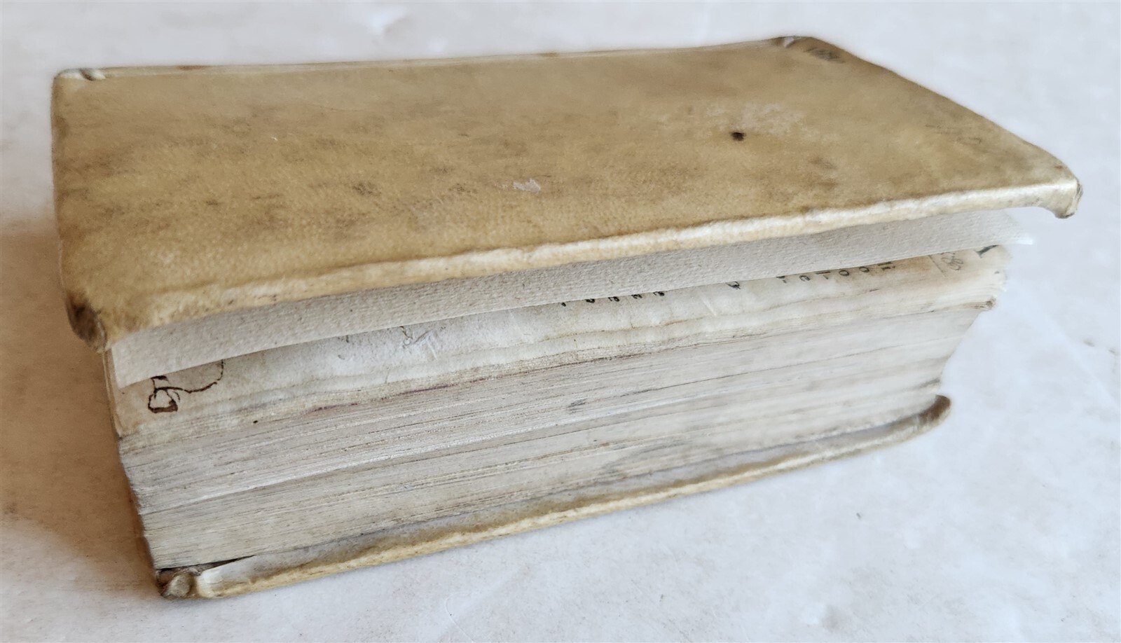 1595 FRANCISCI VALLESII Biblical natural history antique 16th CENTURY vellum