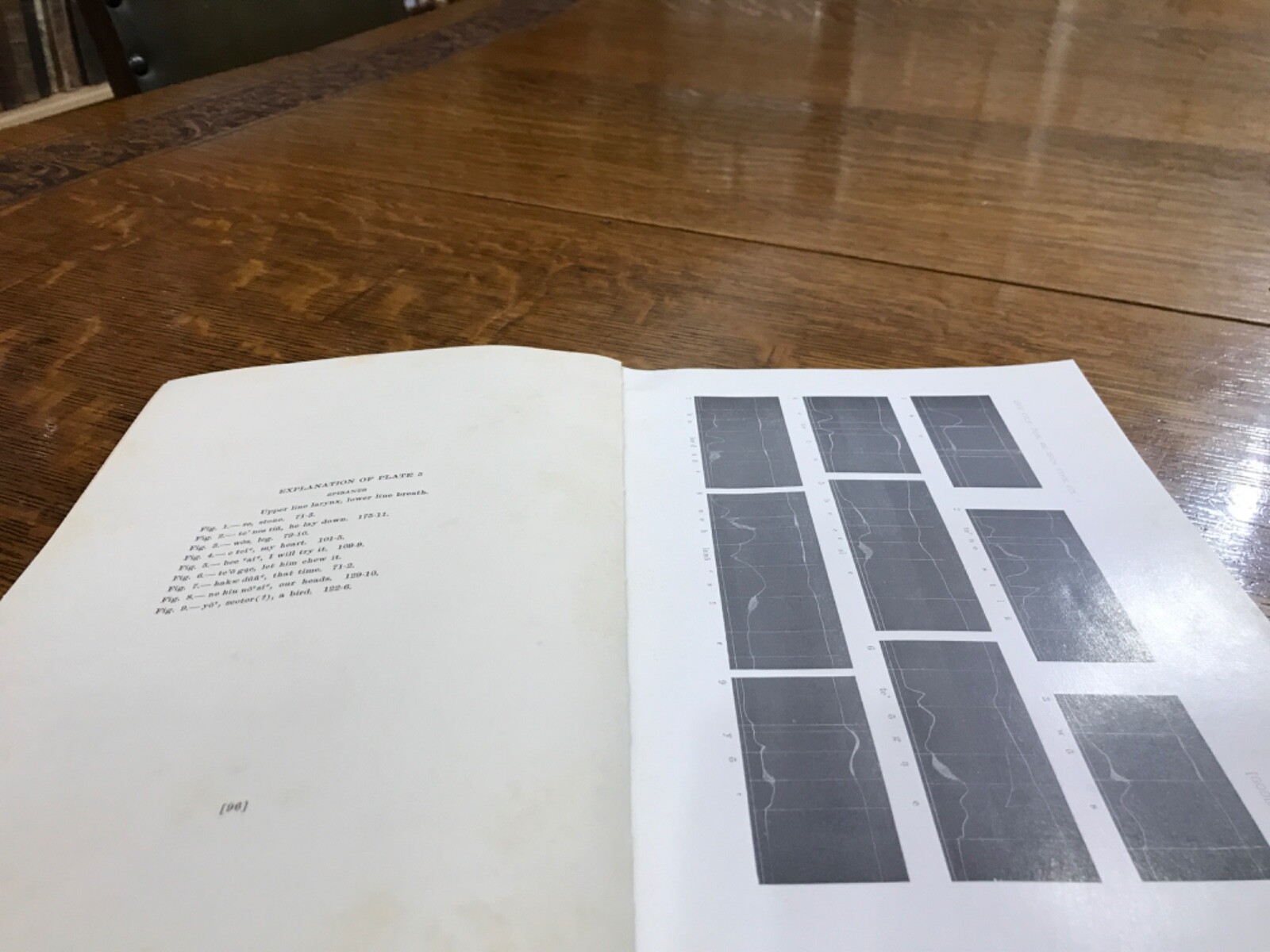 1912 Elements of the Kato Language Pliny Earle Goddard Illustrations