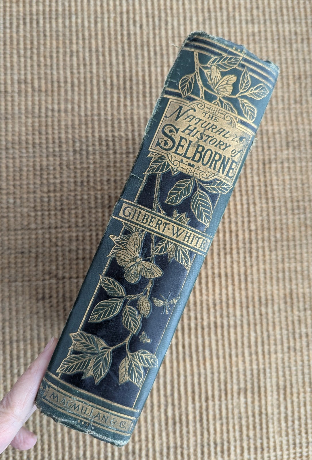 Gilbert White Natural History Antiquities Selborne, Delamotte 1875 Antique Book