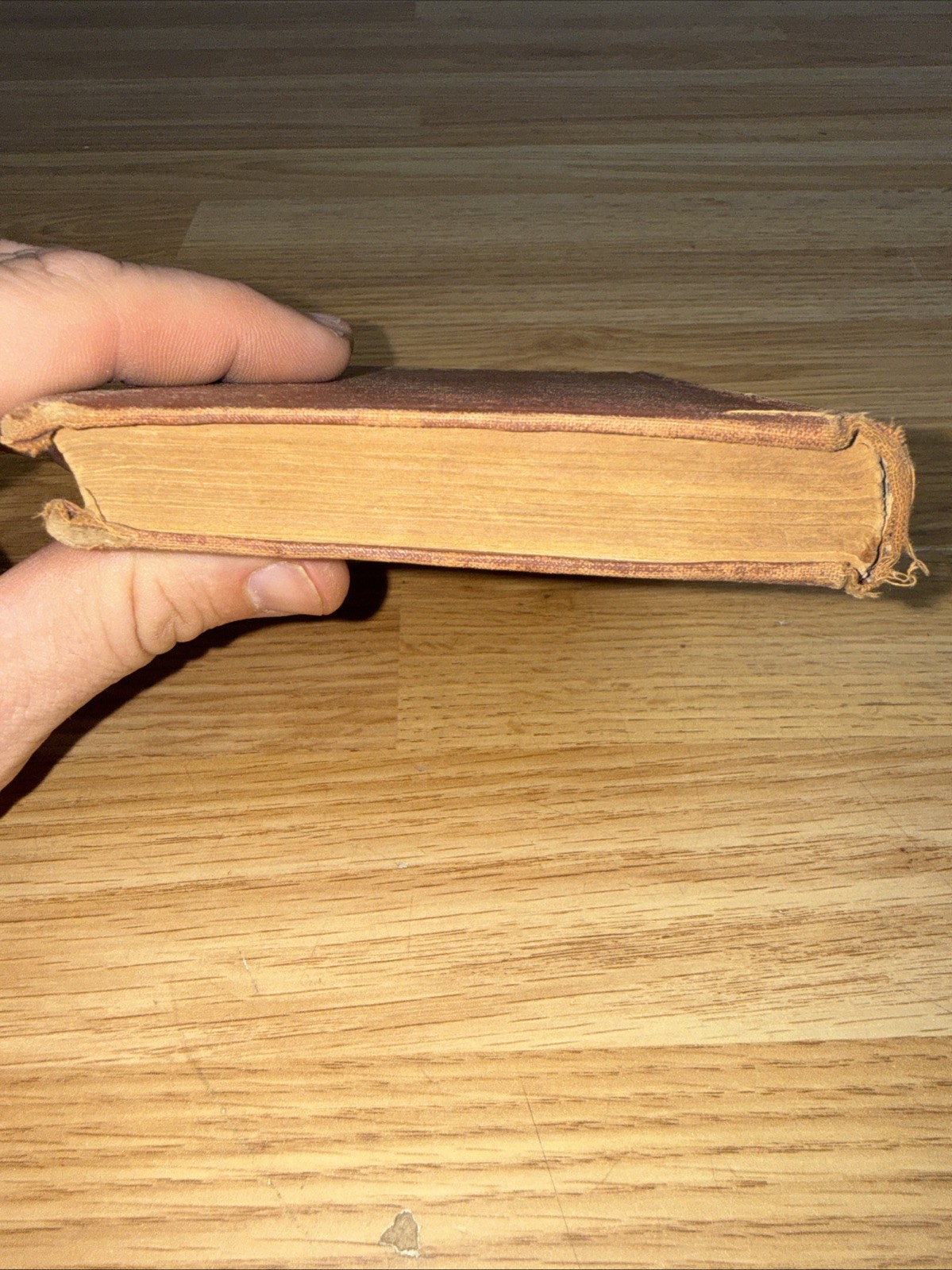 Antique-Full Catechism of the Catholic Religion by Joseph Deharbe 1891