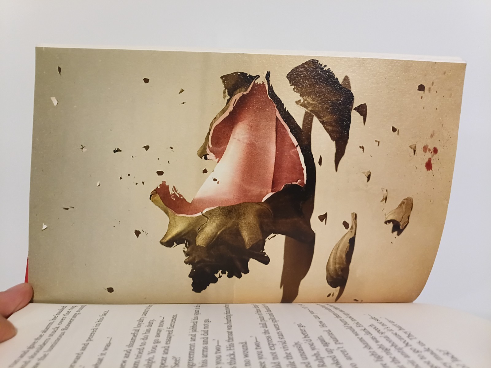 Lord of the flies, William Golding, Folio Society, 2009, Hardcove, First Edition