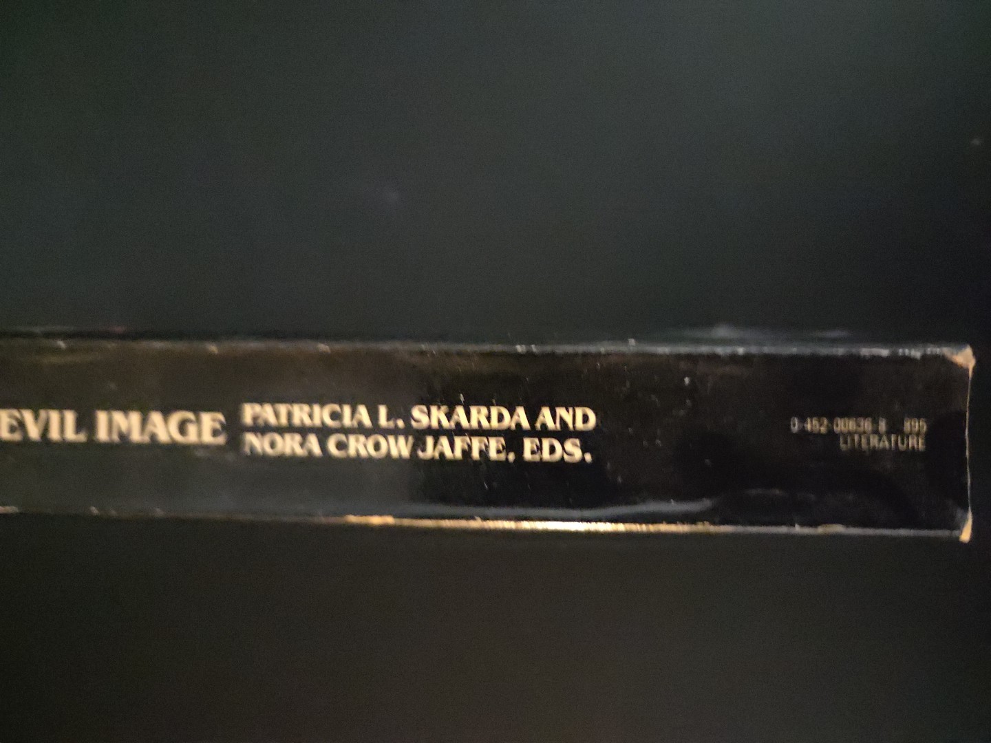 Vintage The Evil Image: Two Centuries of Gothic Short Fiction and Poetry PB King