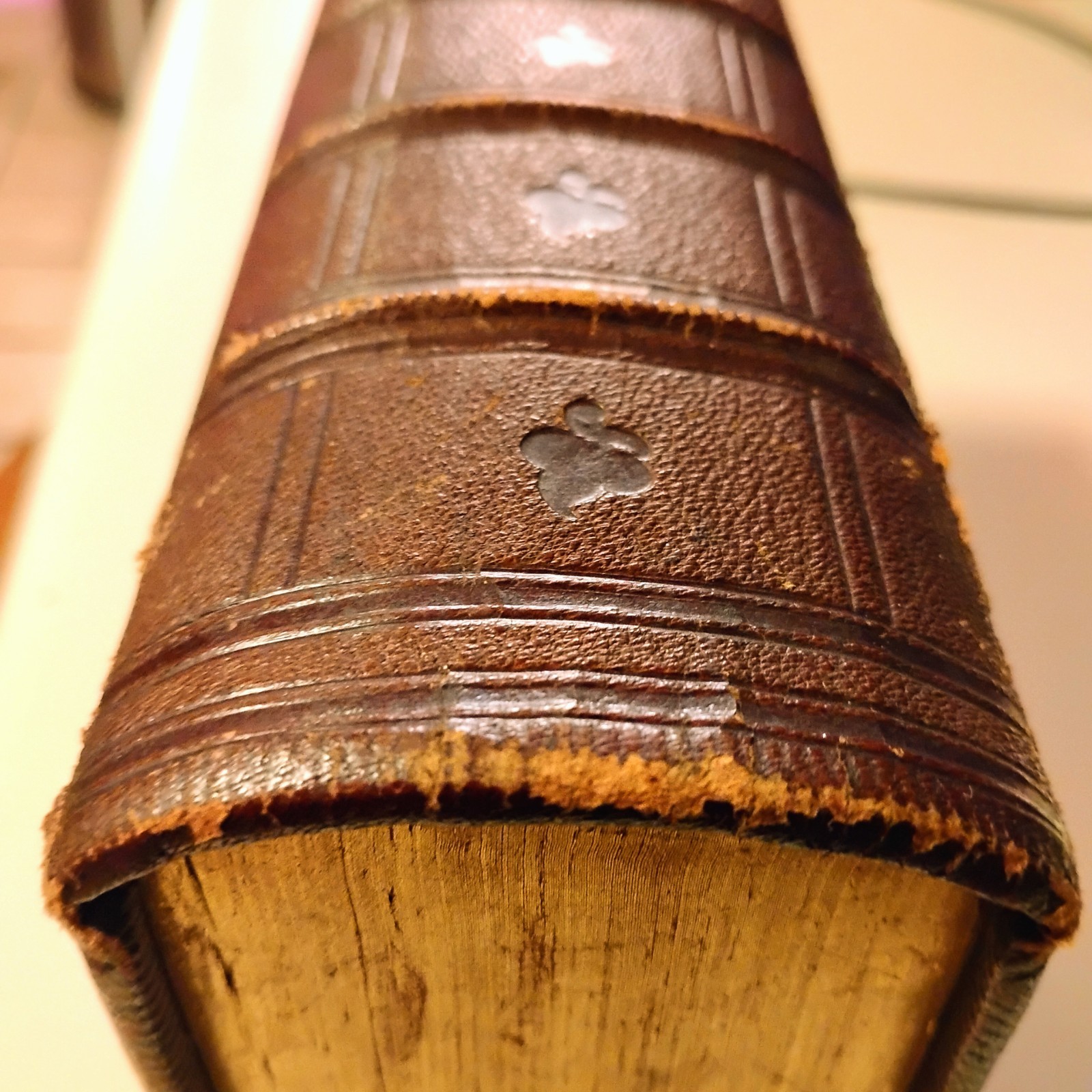 1850s The Poetical Works of Thomas Moore LEATHER Fine Binding Celtic Knot Gilt