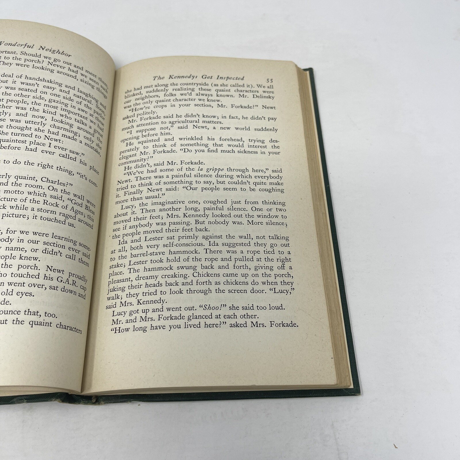 Wonderful Neighbor Homer Croy 1945 HC 1st Edition Illustrated