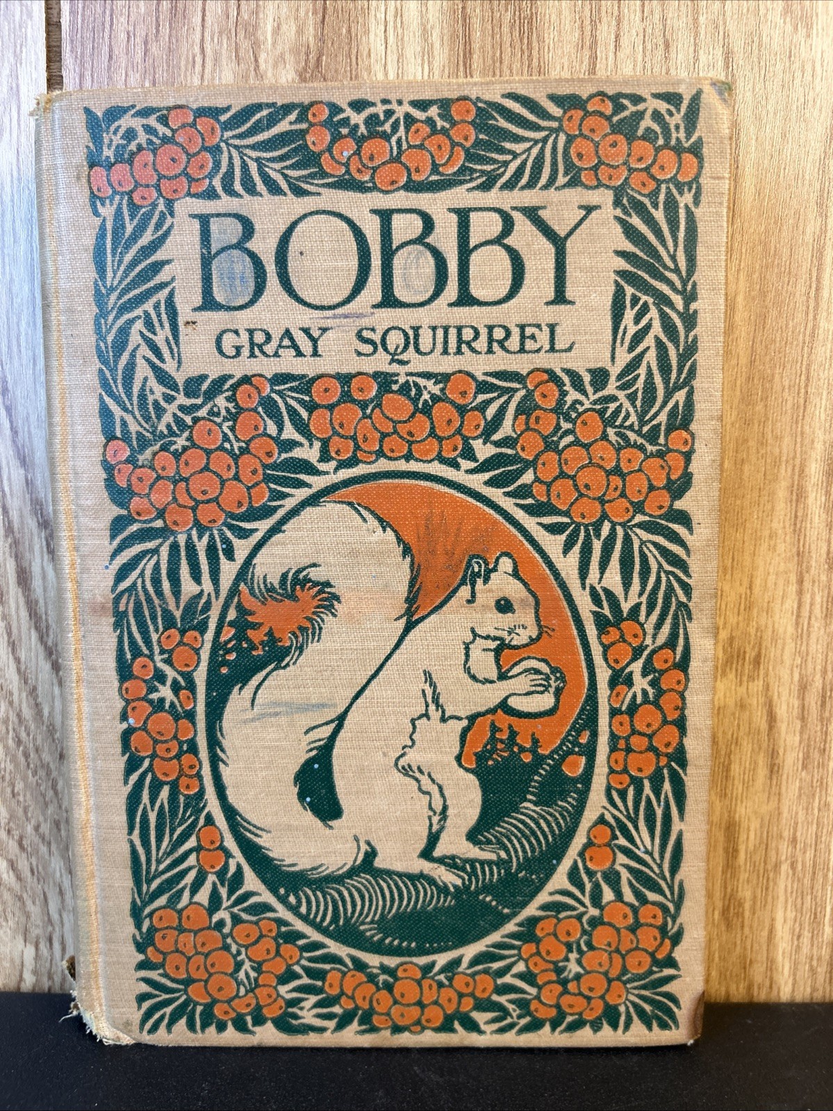 Bobby Gray Squirrel by George Ethelbert Walsh 1922 Antique Children’s Book
