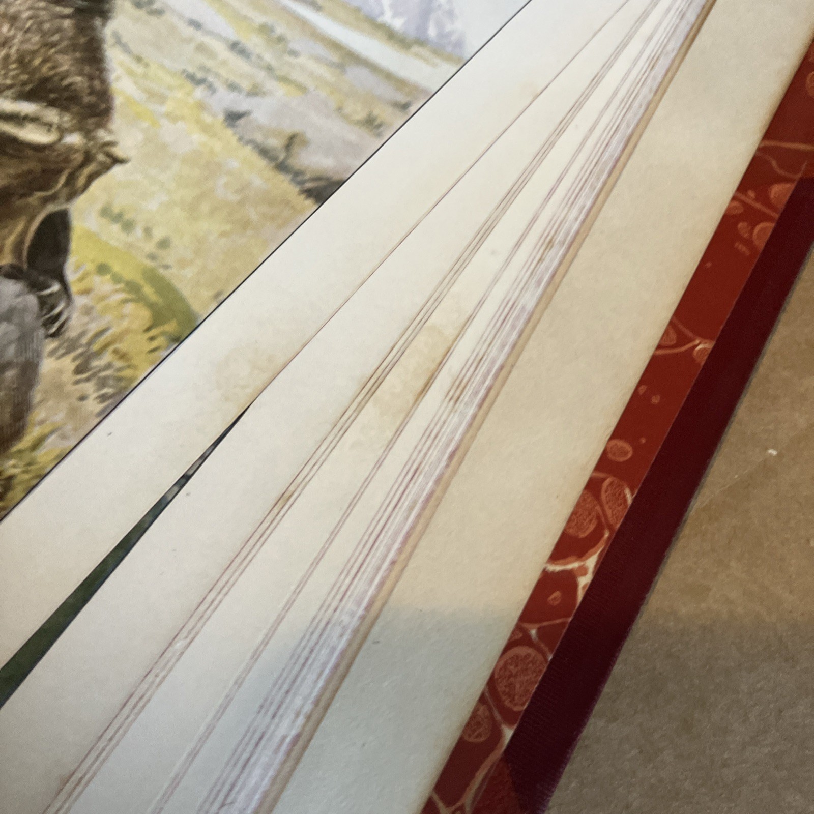 Rebound to Fine Binding National Geographic 1916, 1918 Mammals North America